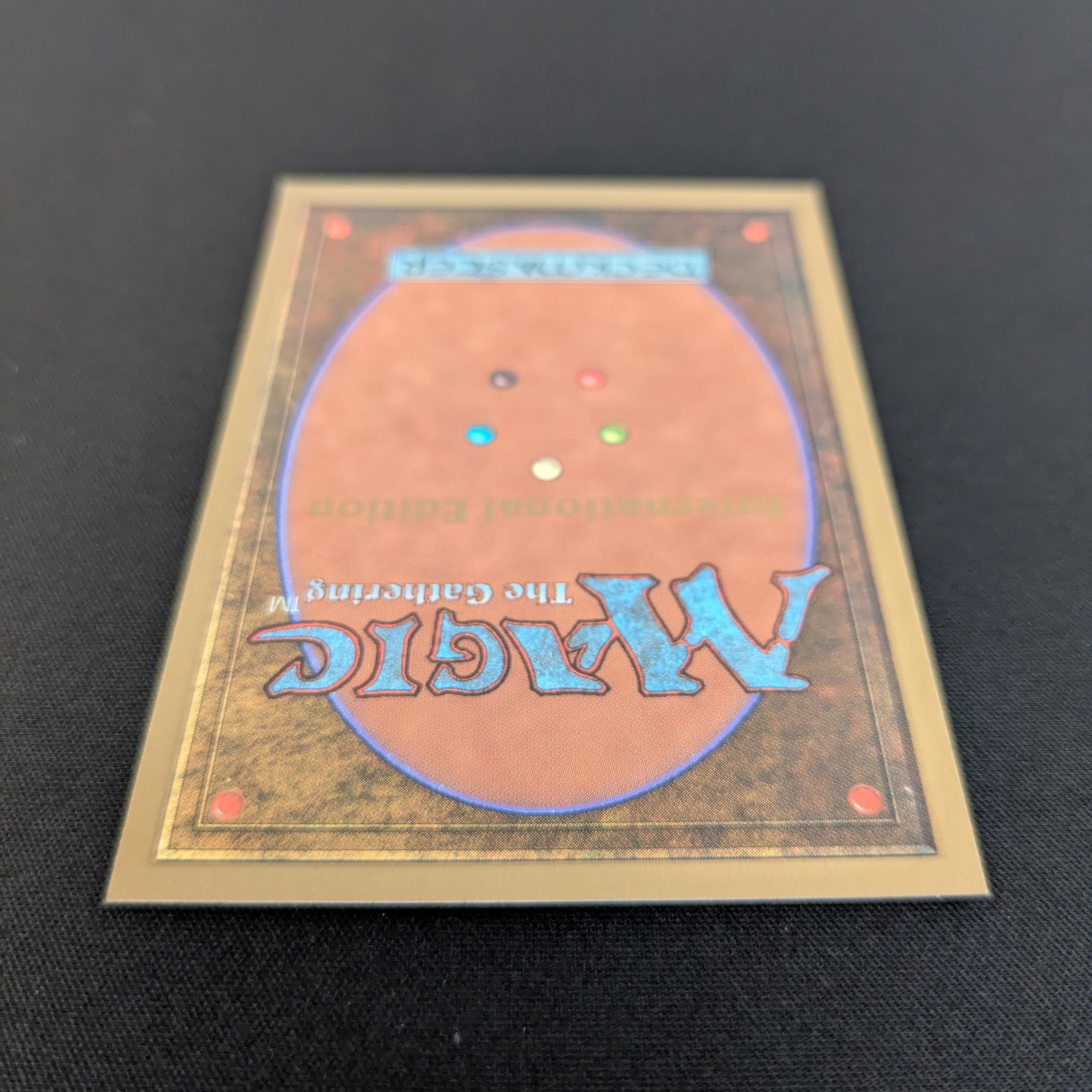 MTG Singles - Savannah - International Edition -