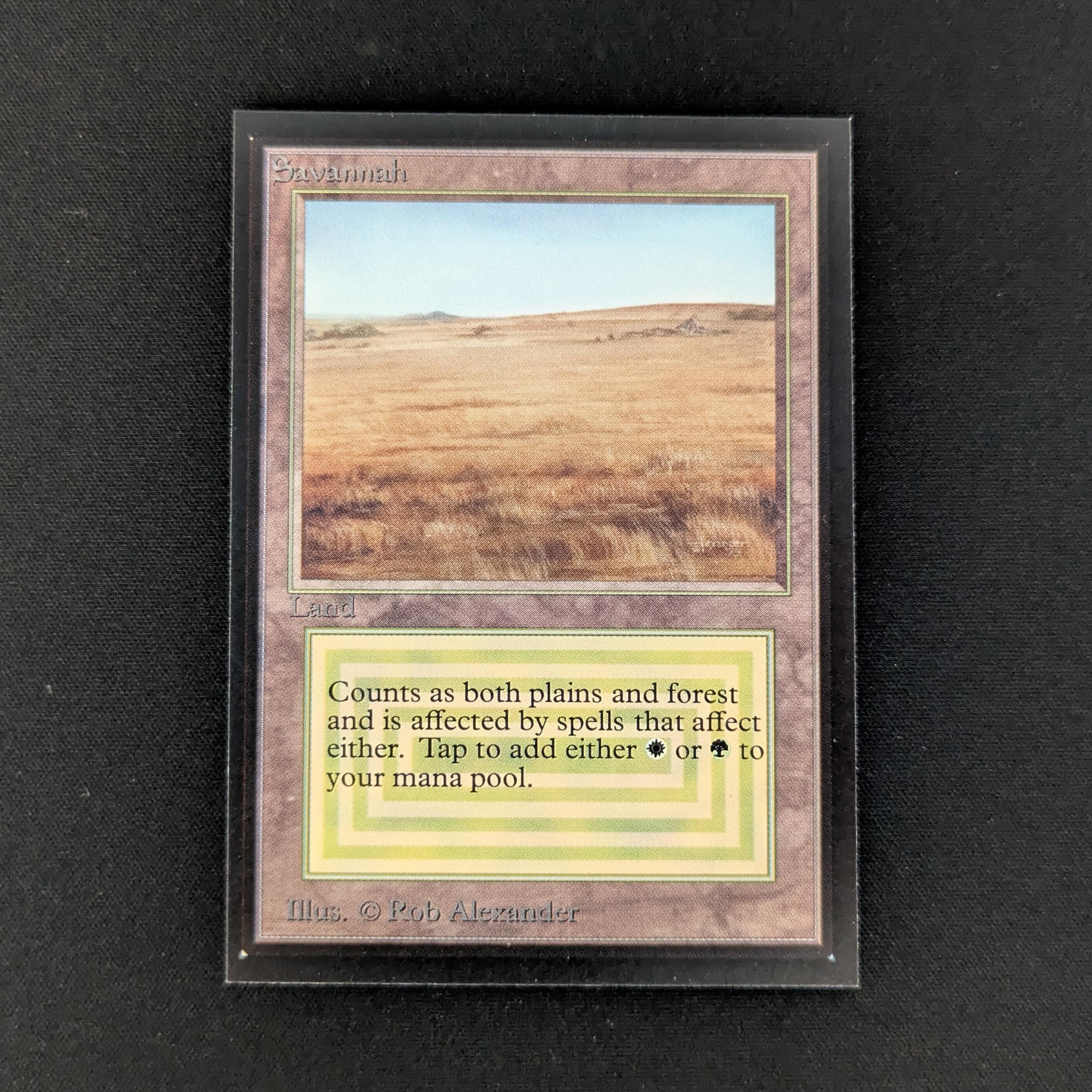 MTG Singles - Savannah - International Edition - NM - 27509