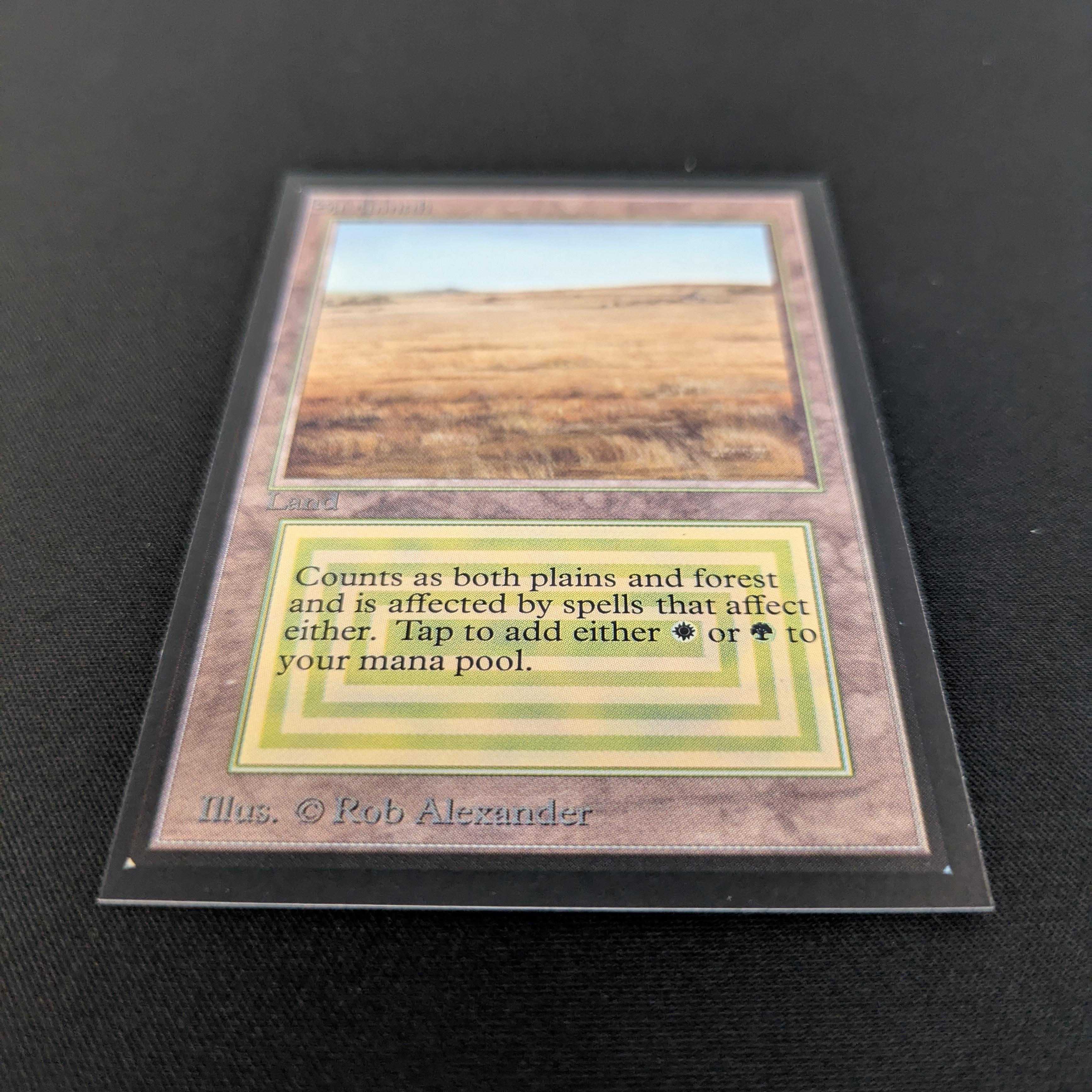 MTG Singles - Savannah - International Edition -