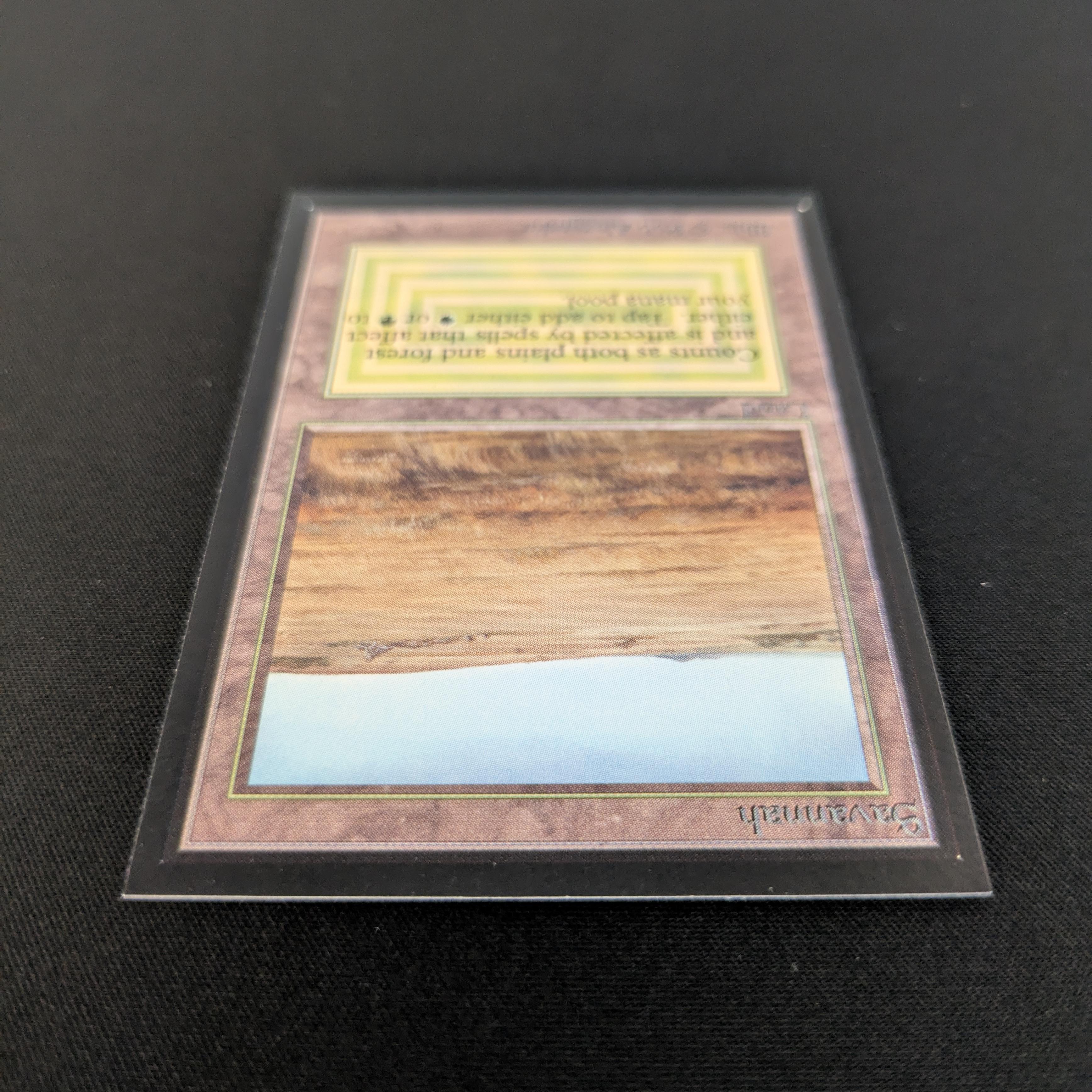 MTG Singles - Savannah - International Edition -