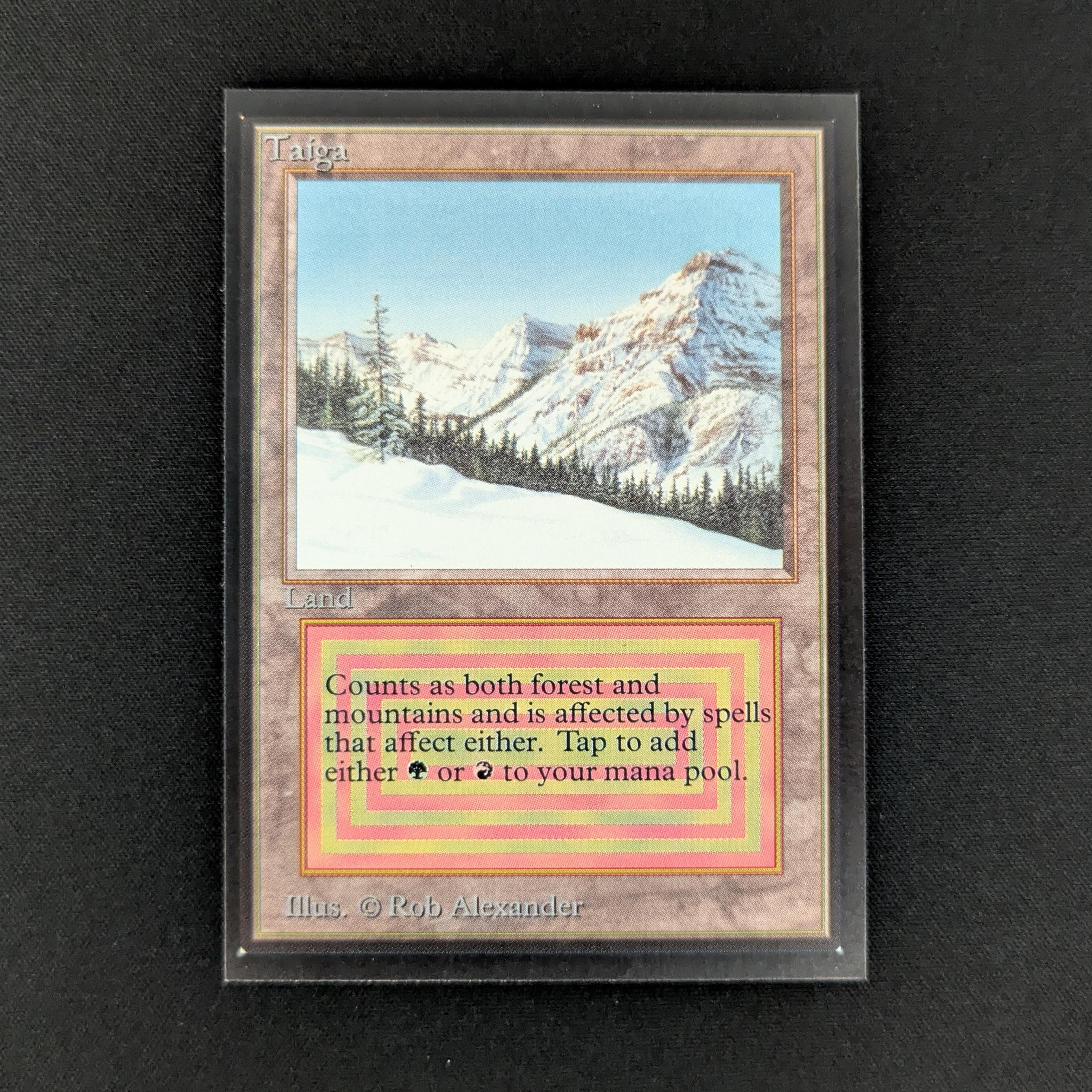 MTG Singles - Taiga - International Edition - NM - 27511