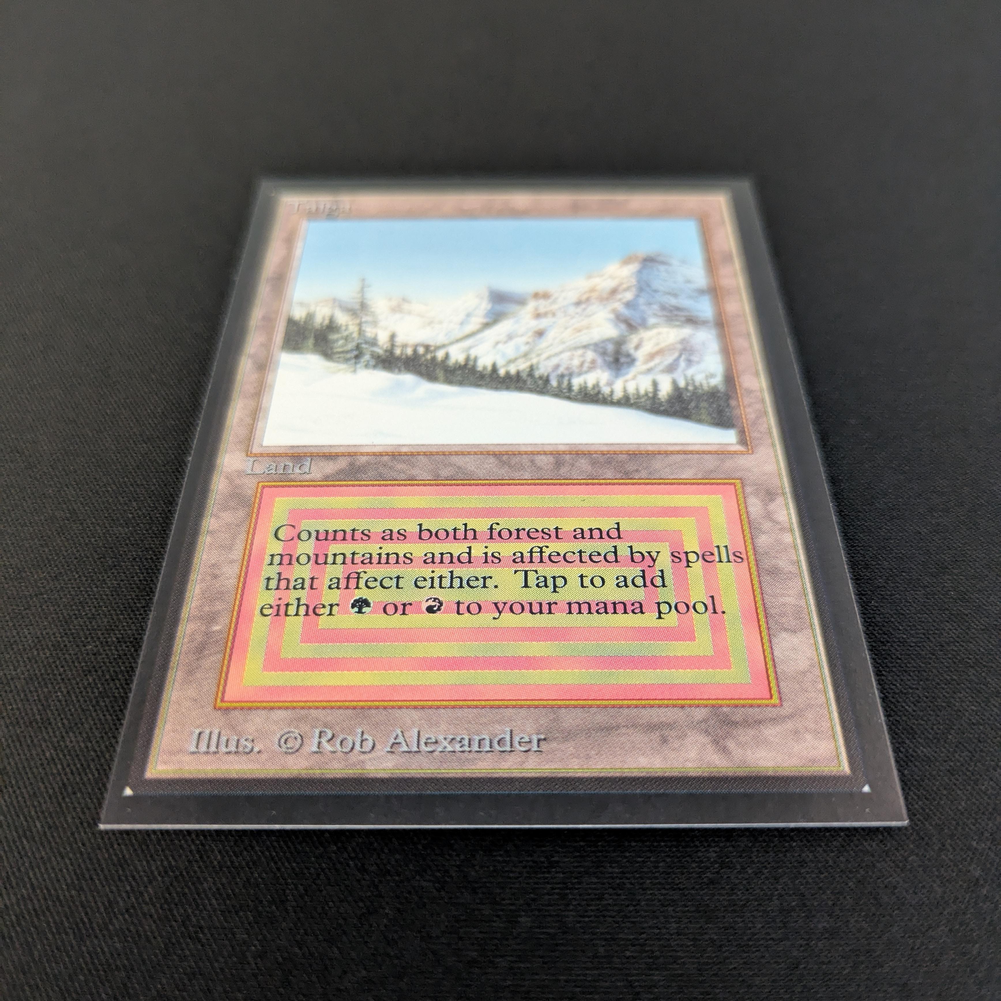 MTG Singles - Taiga - International Edition -