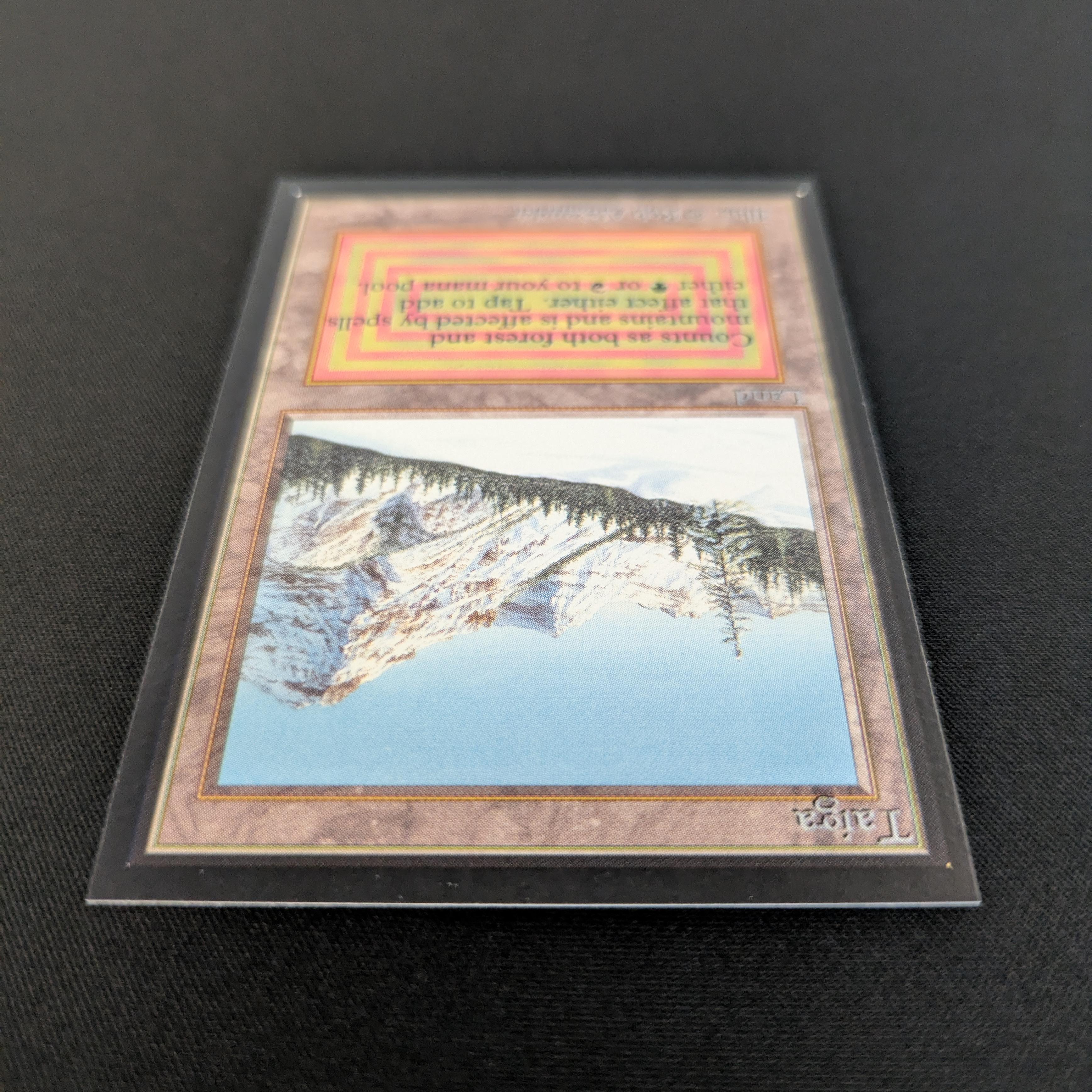 MTG Singles - Taiga - International Edition -