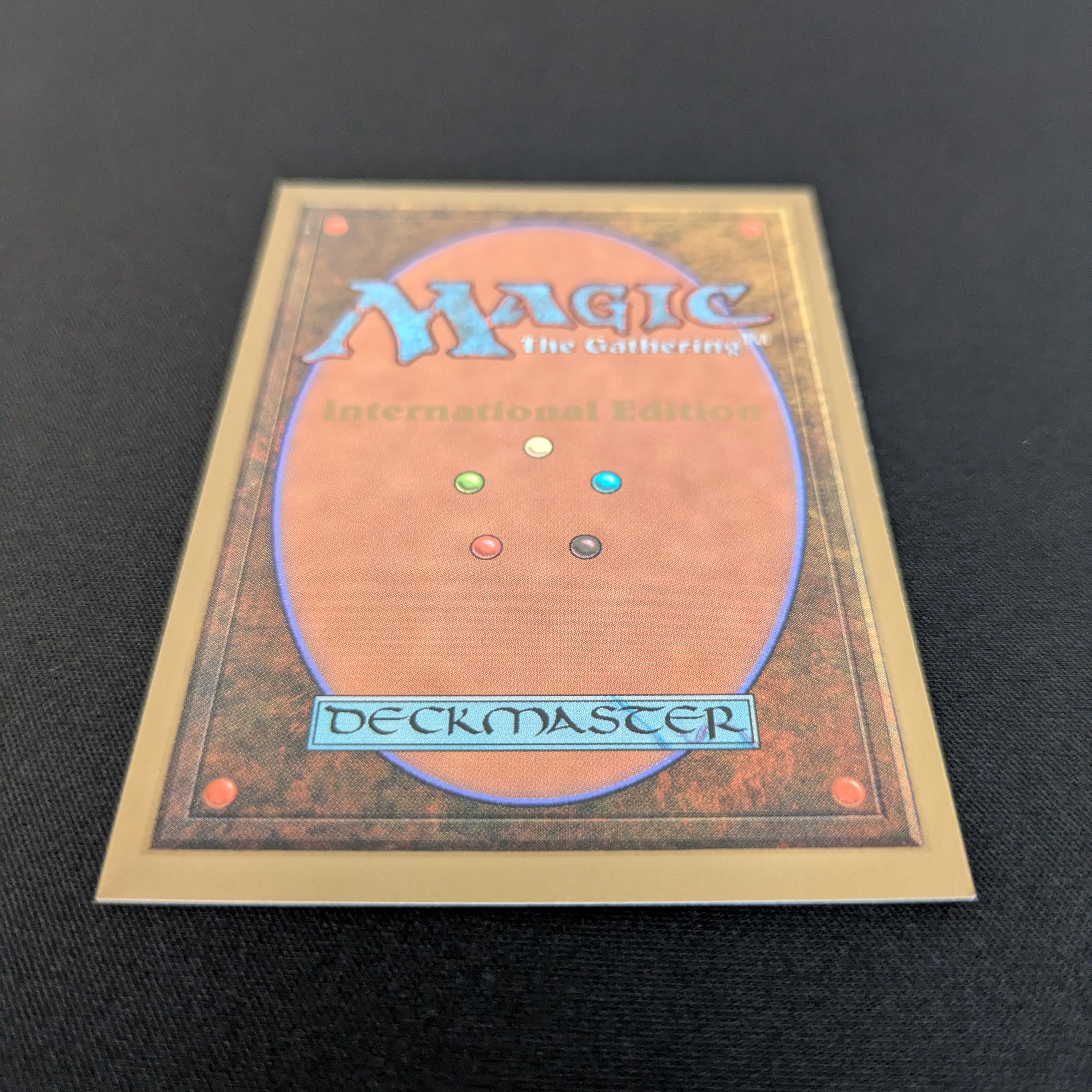 MTG Singles - Taiga - International Edition -