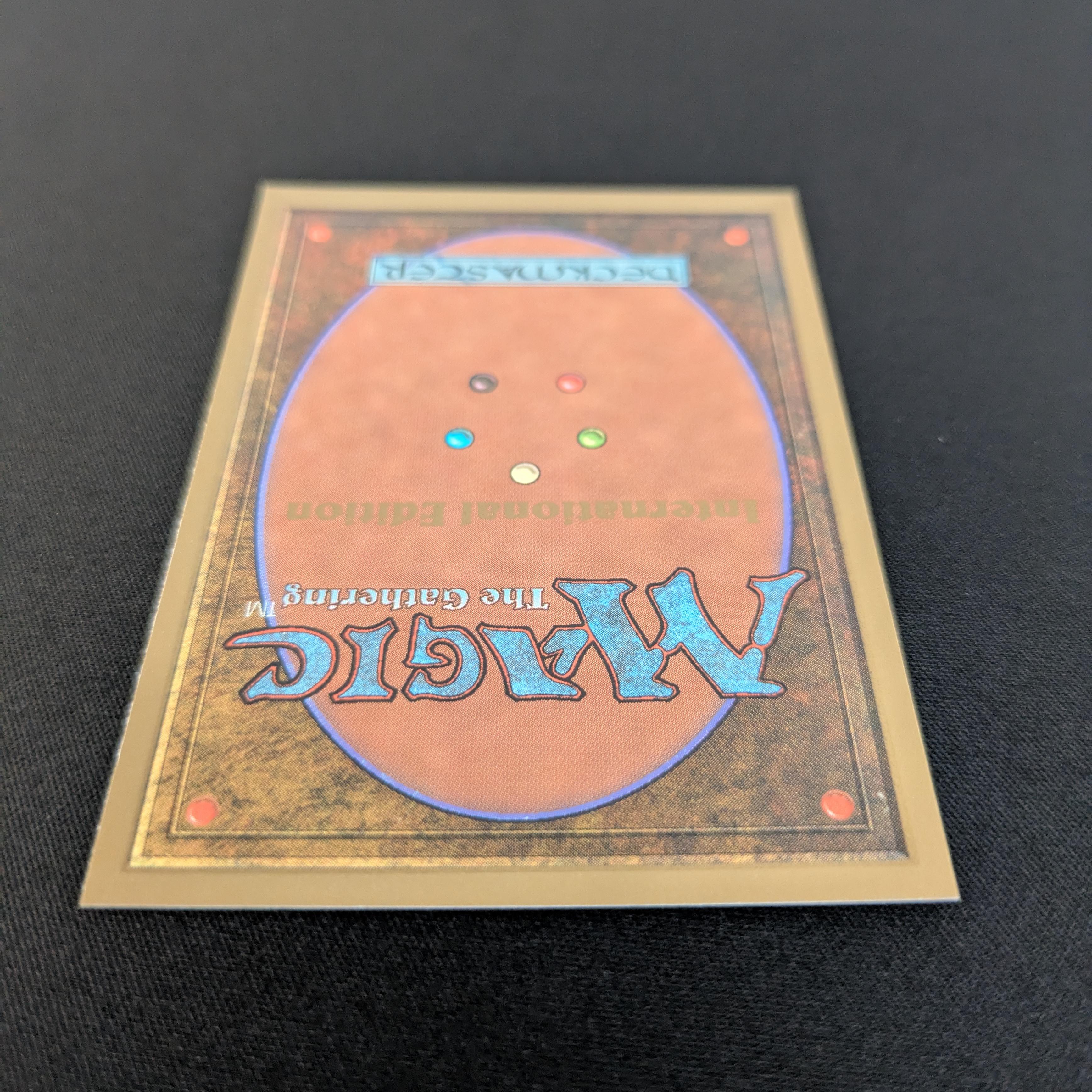 MTG Singles - Taiga - International Edition -