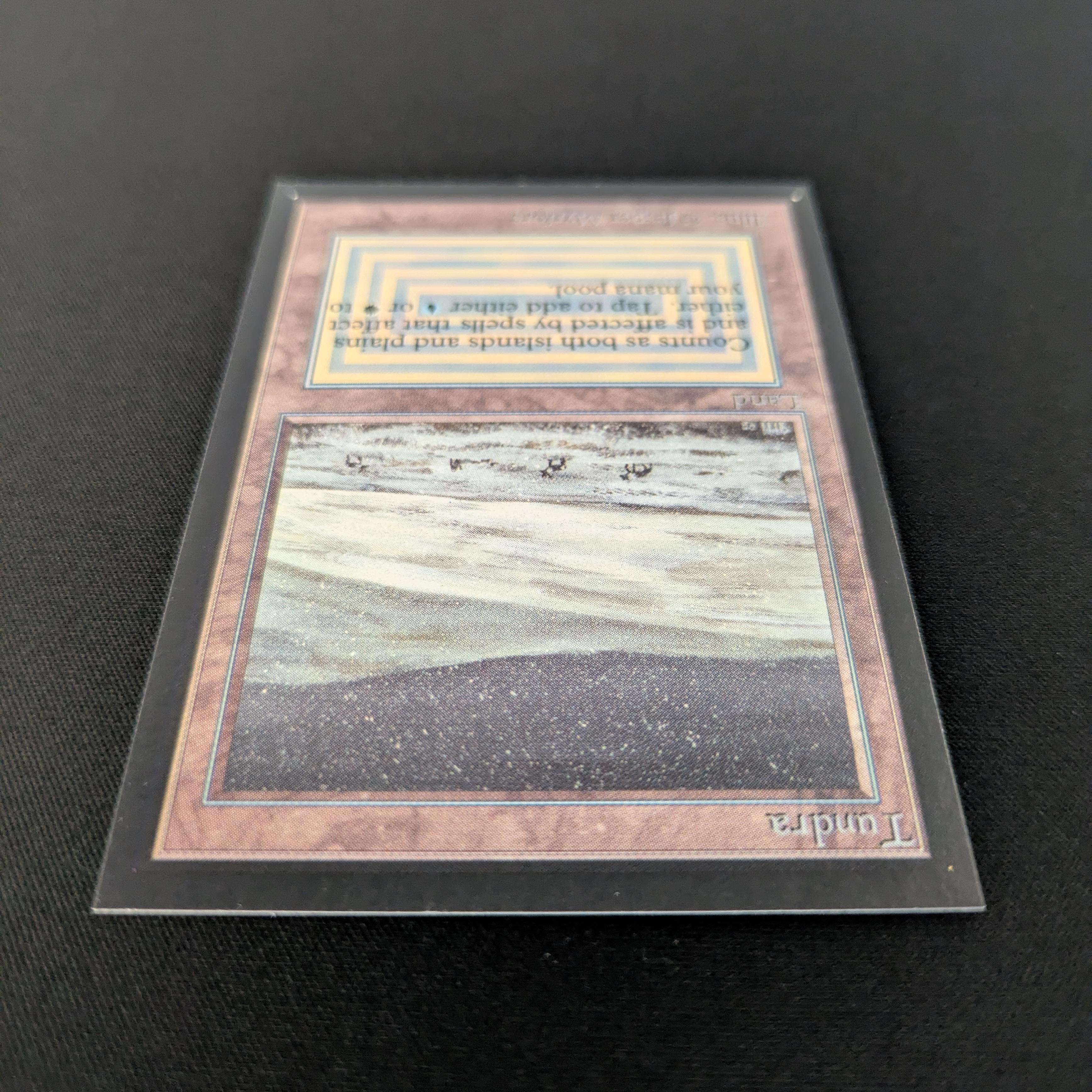 MTG Singles - Tundra - International Edition -