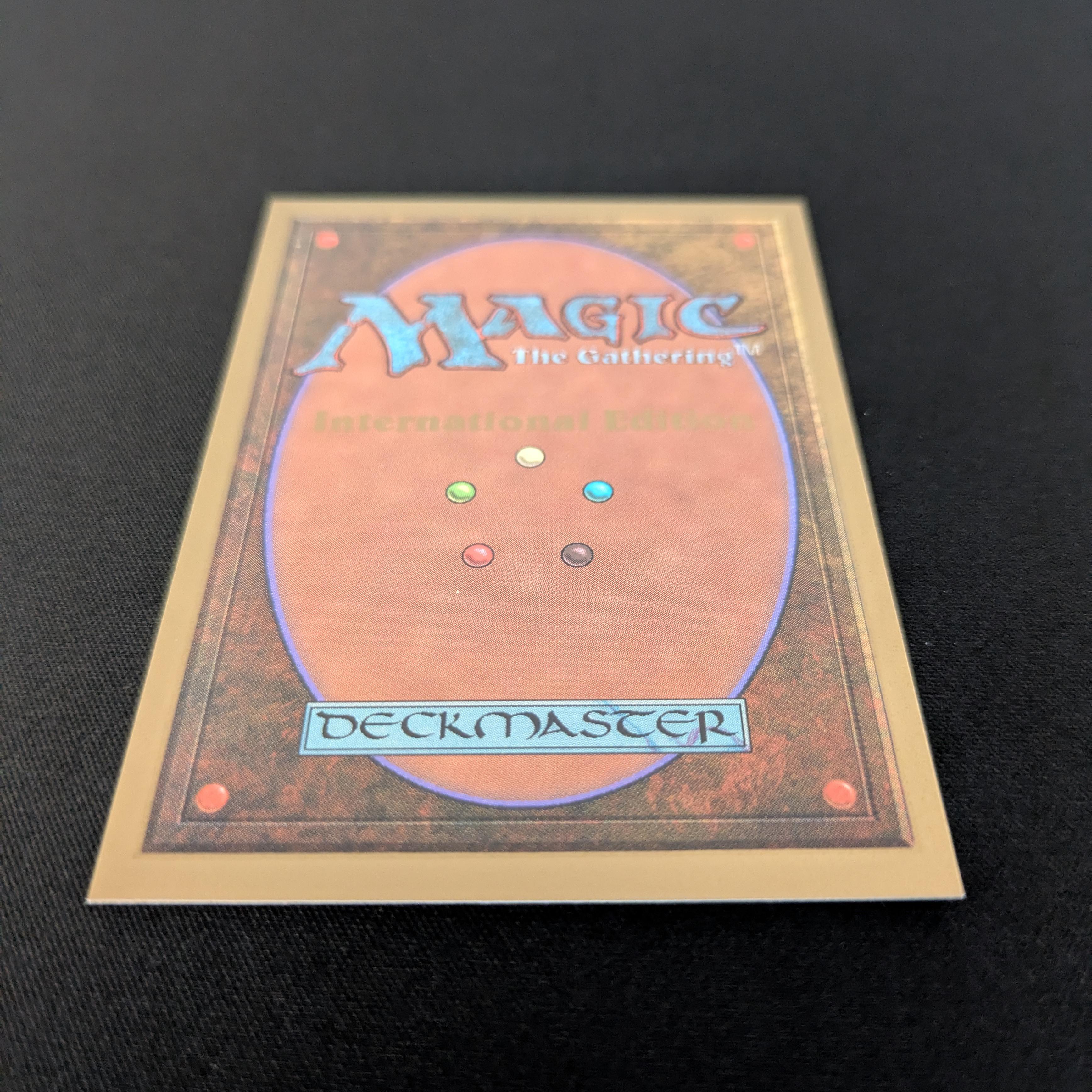 MTG Singles - Tundra - International Edition -