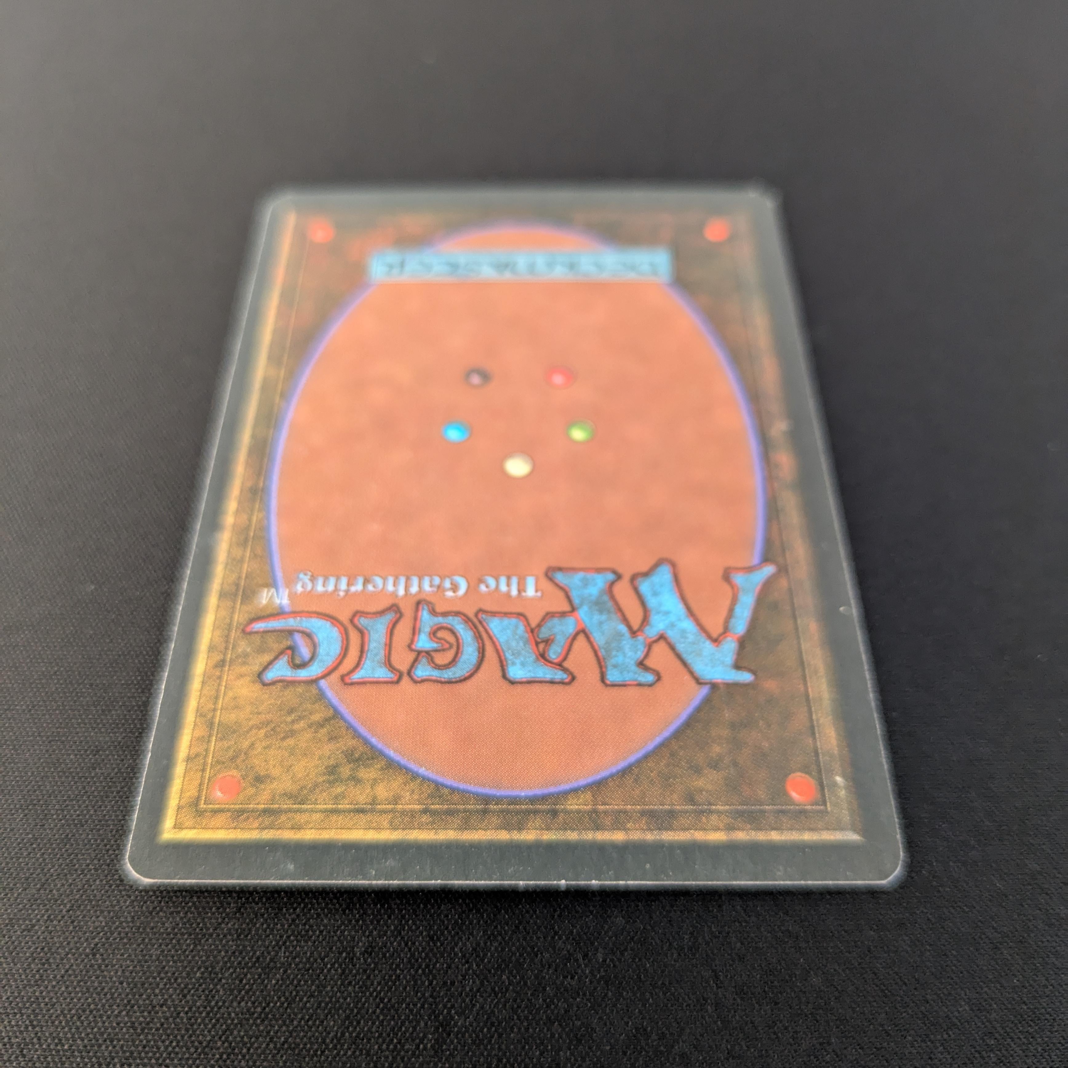 MTG Singles - Bayou - Foreign Black Bordered -