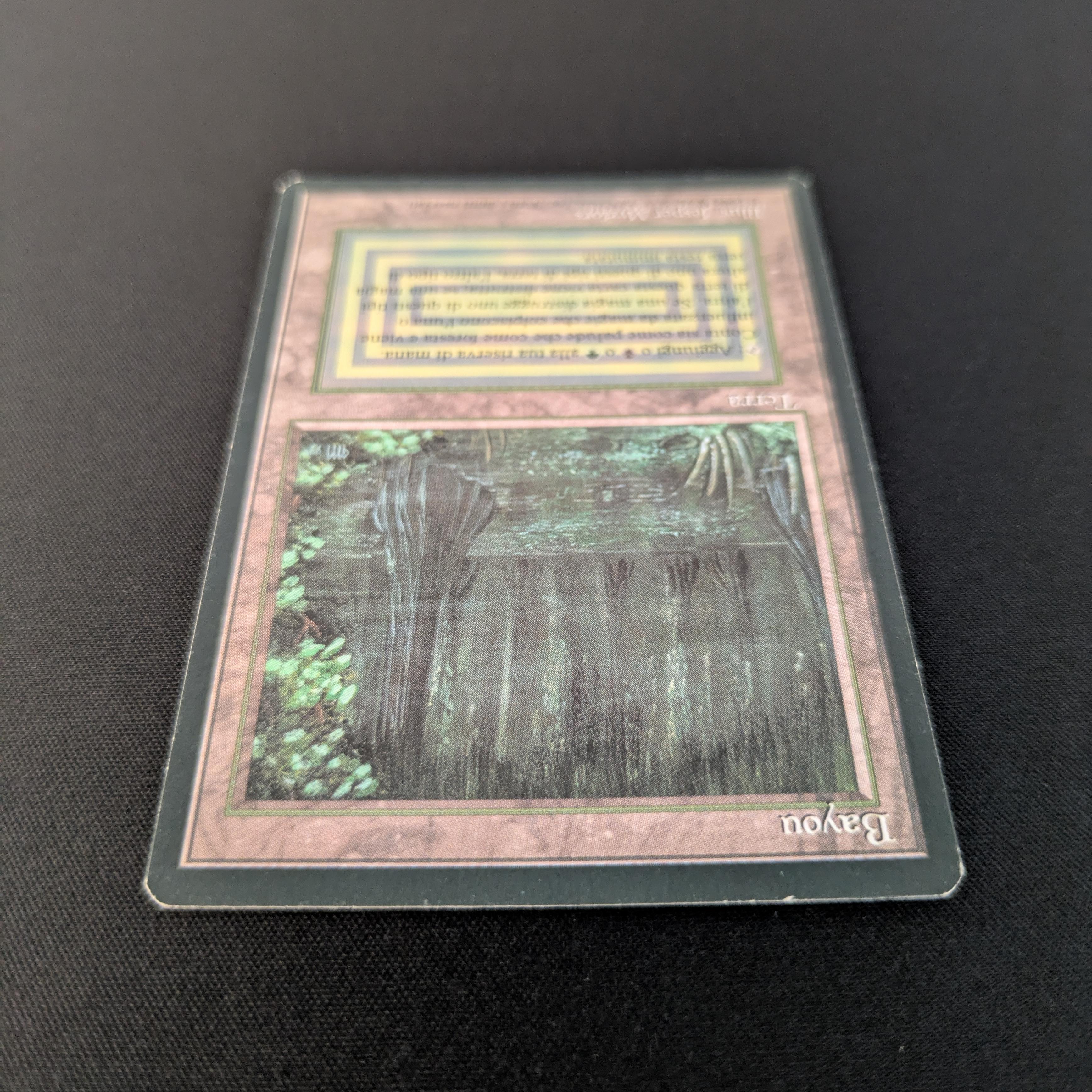 MTG Singles - Bayou - Foreign Black Bordered -