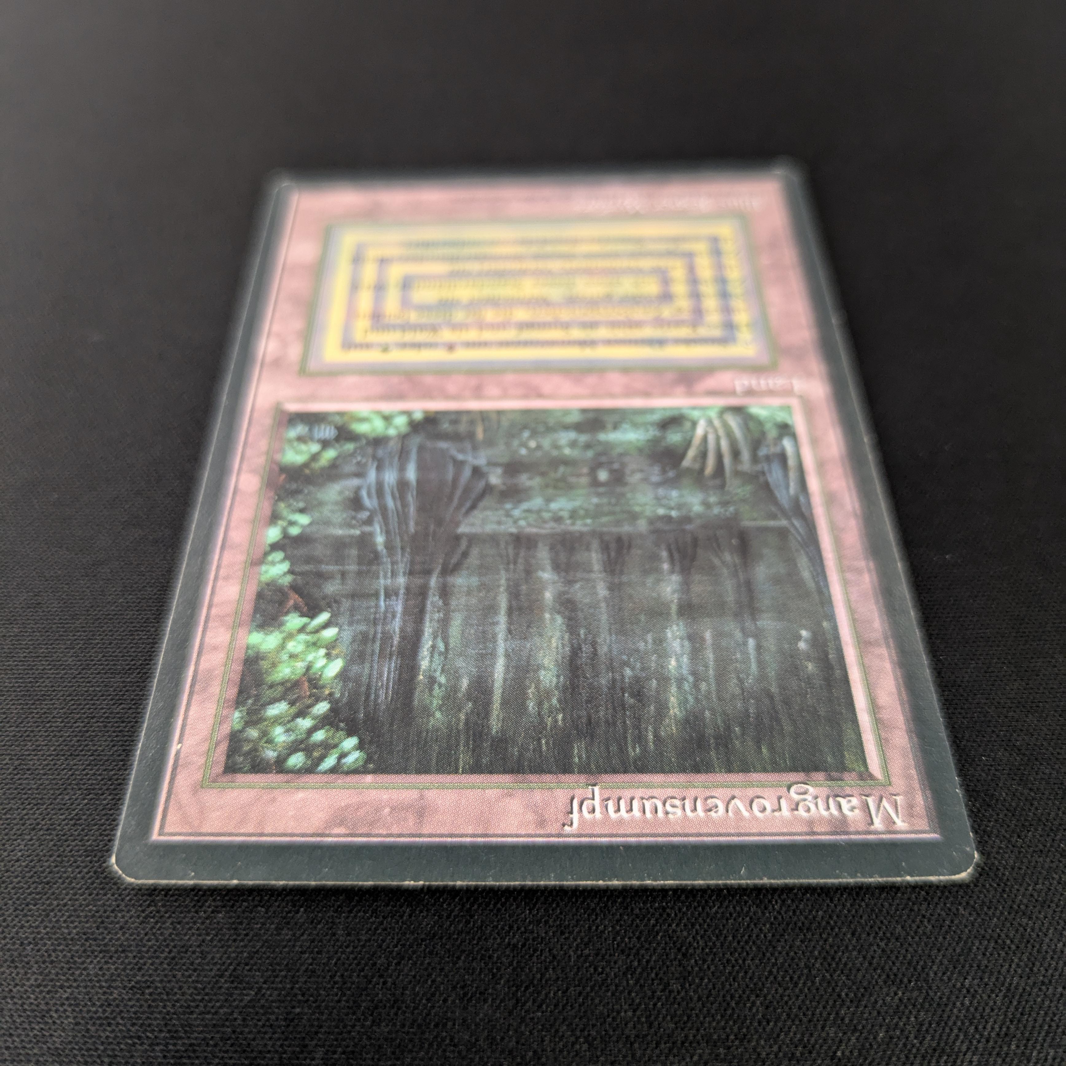 MTG Singles - Bayou - Foreign Black Bordered -