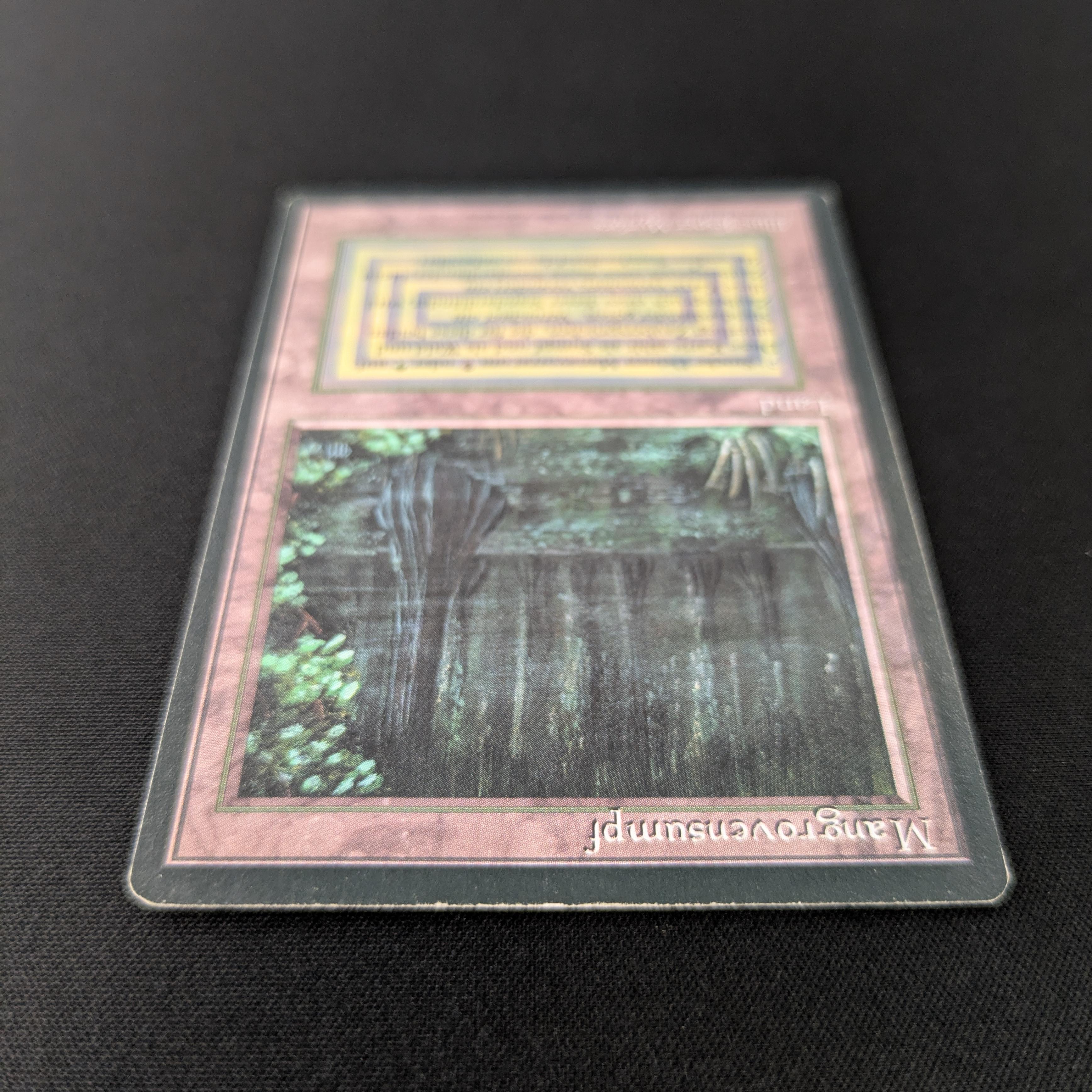 MTG Singles - Bayou - Foreign Black Bordered -