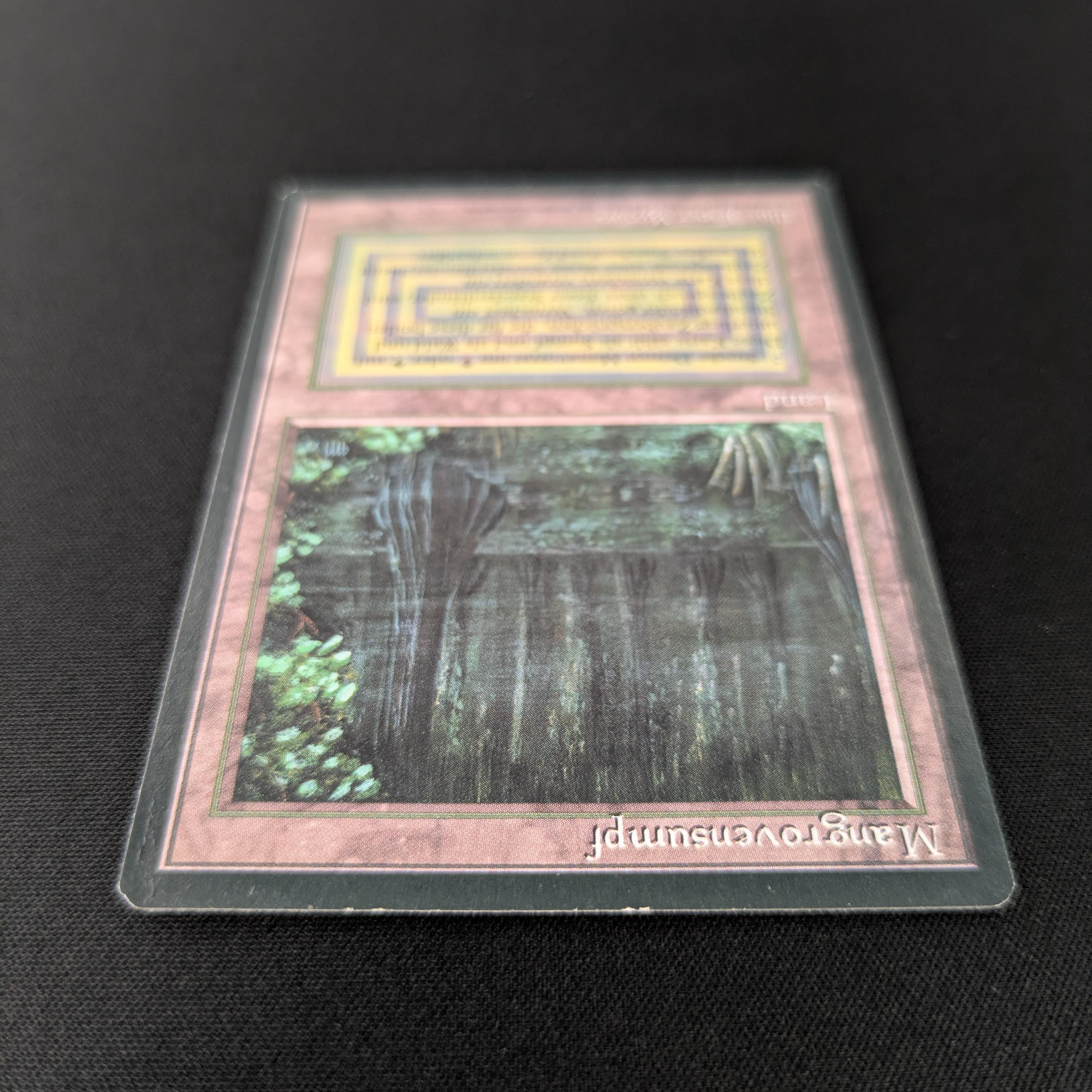 MTG Singles - Bayou - Foreign Black Bordered -