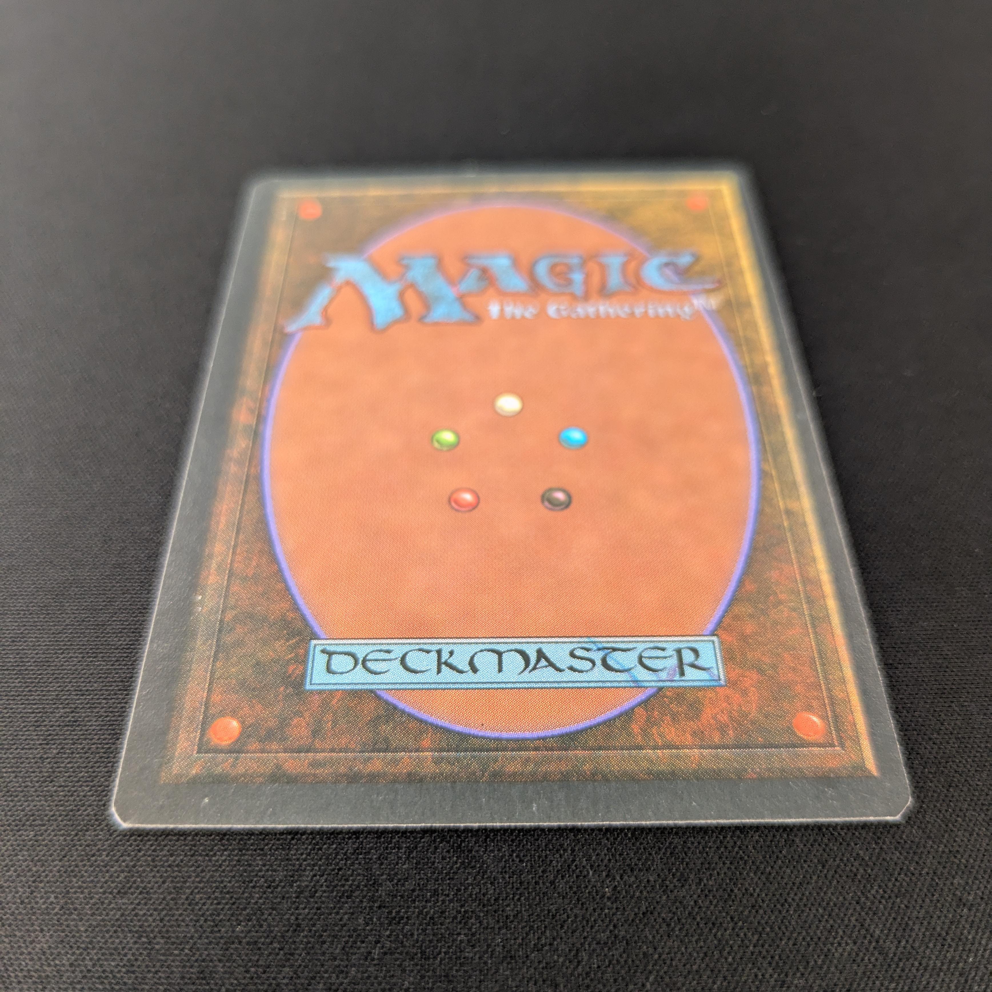 MTG Singles - Bayou - Foreign Black Bordered -