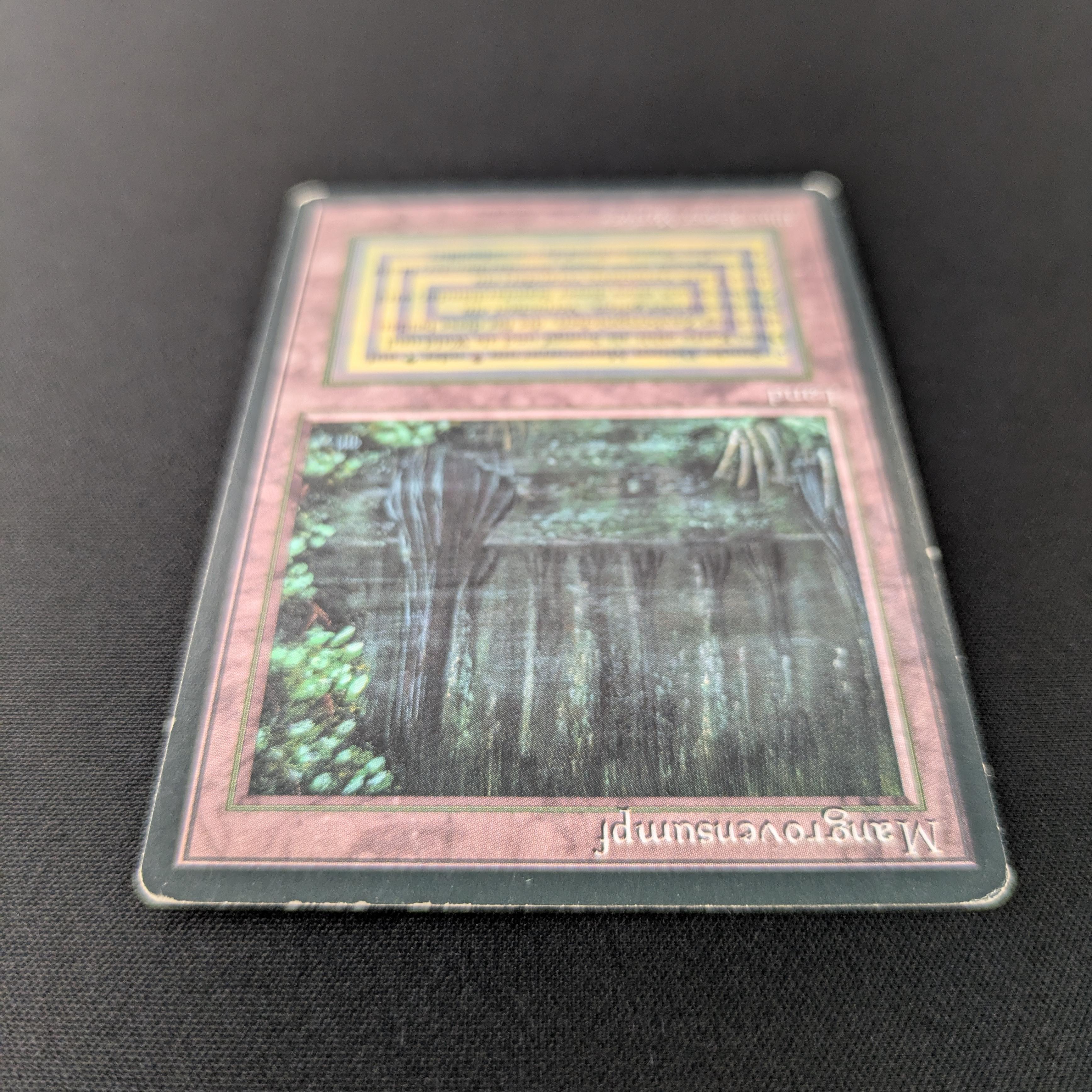 MTG Singles - Bayou - Foreign Black Bordered -