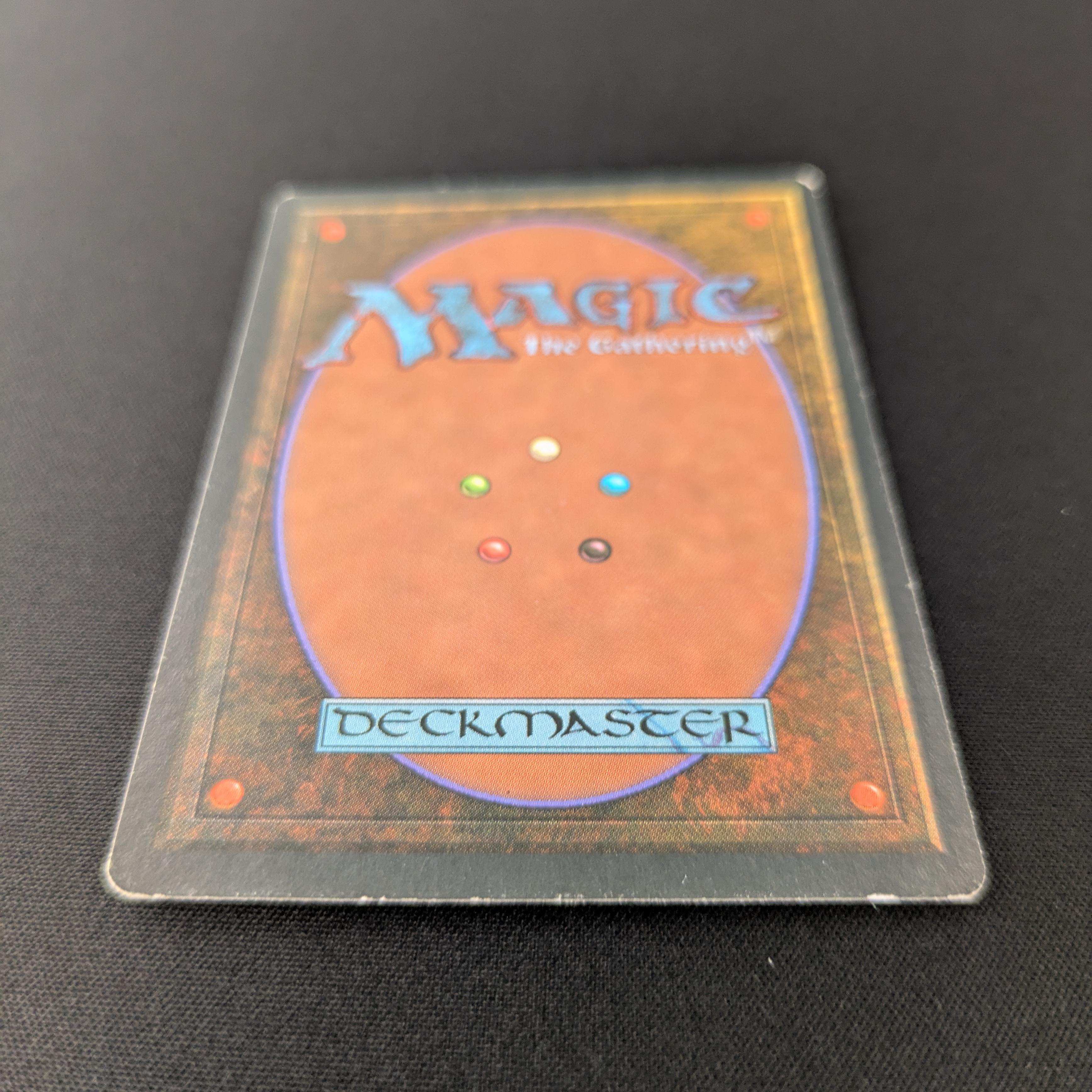 MTG Singles - Bayou - Foreign Black Bordered -