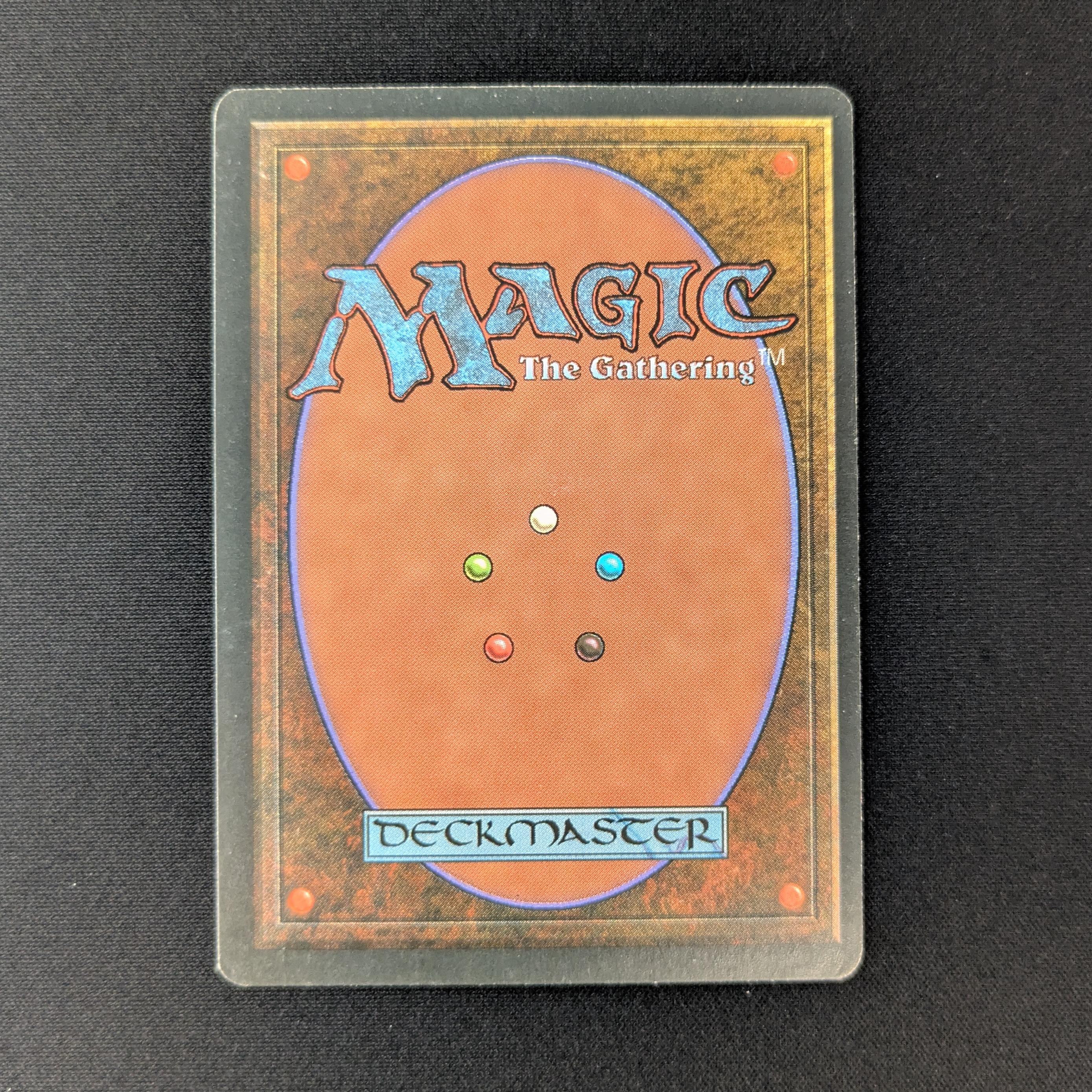 MTG Singles - Savannah - Foreign Black Bordered -
