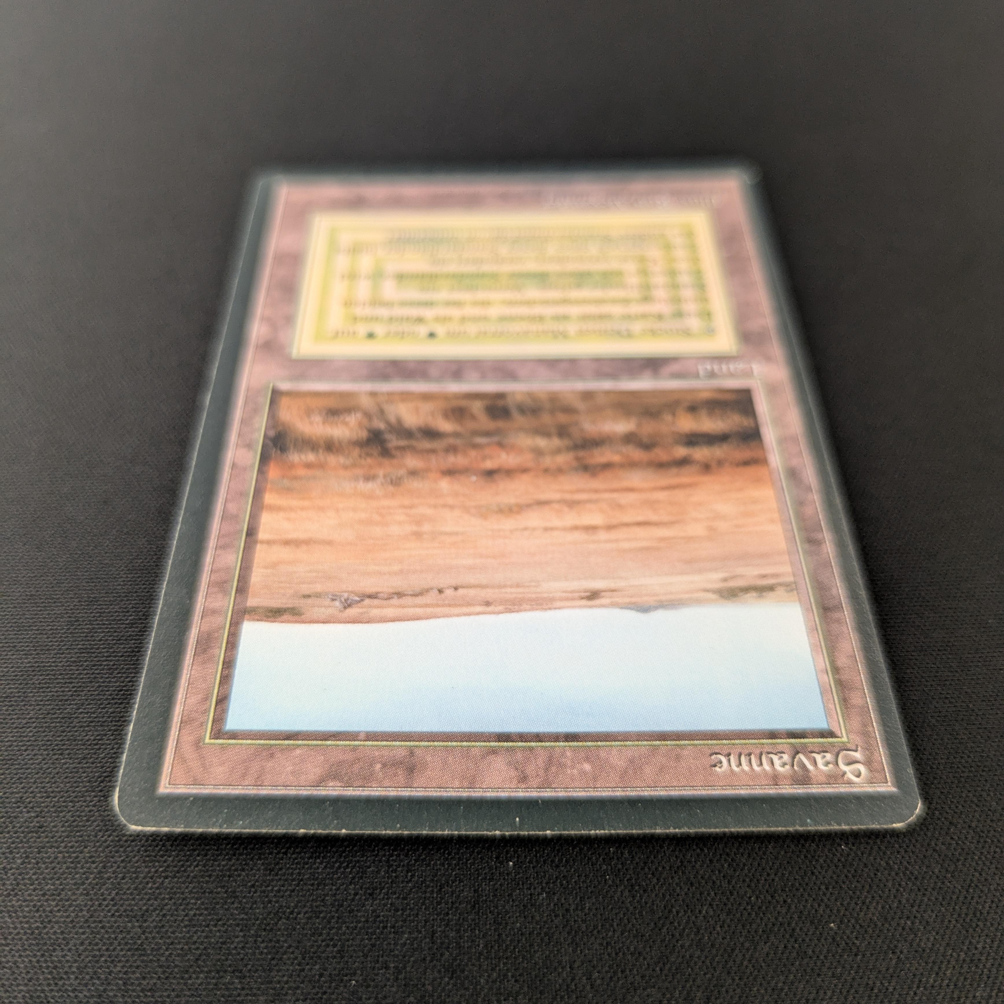 MTG Singles - Savannah - Foreign Black Bordered -