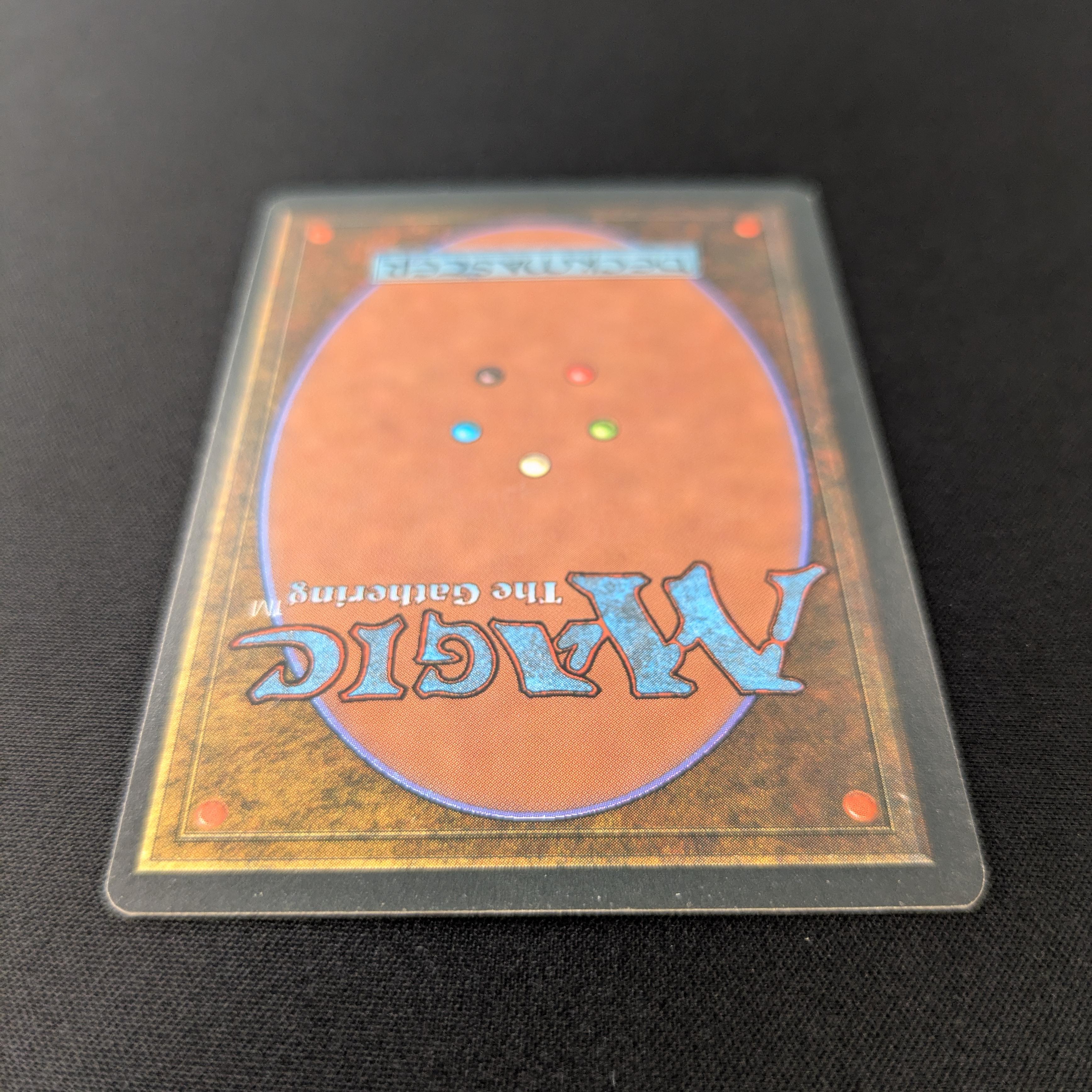 MTG Singles - Savannah - Foreign Black Bordered -