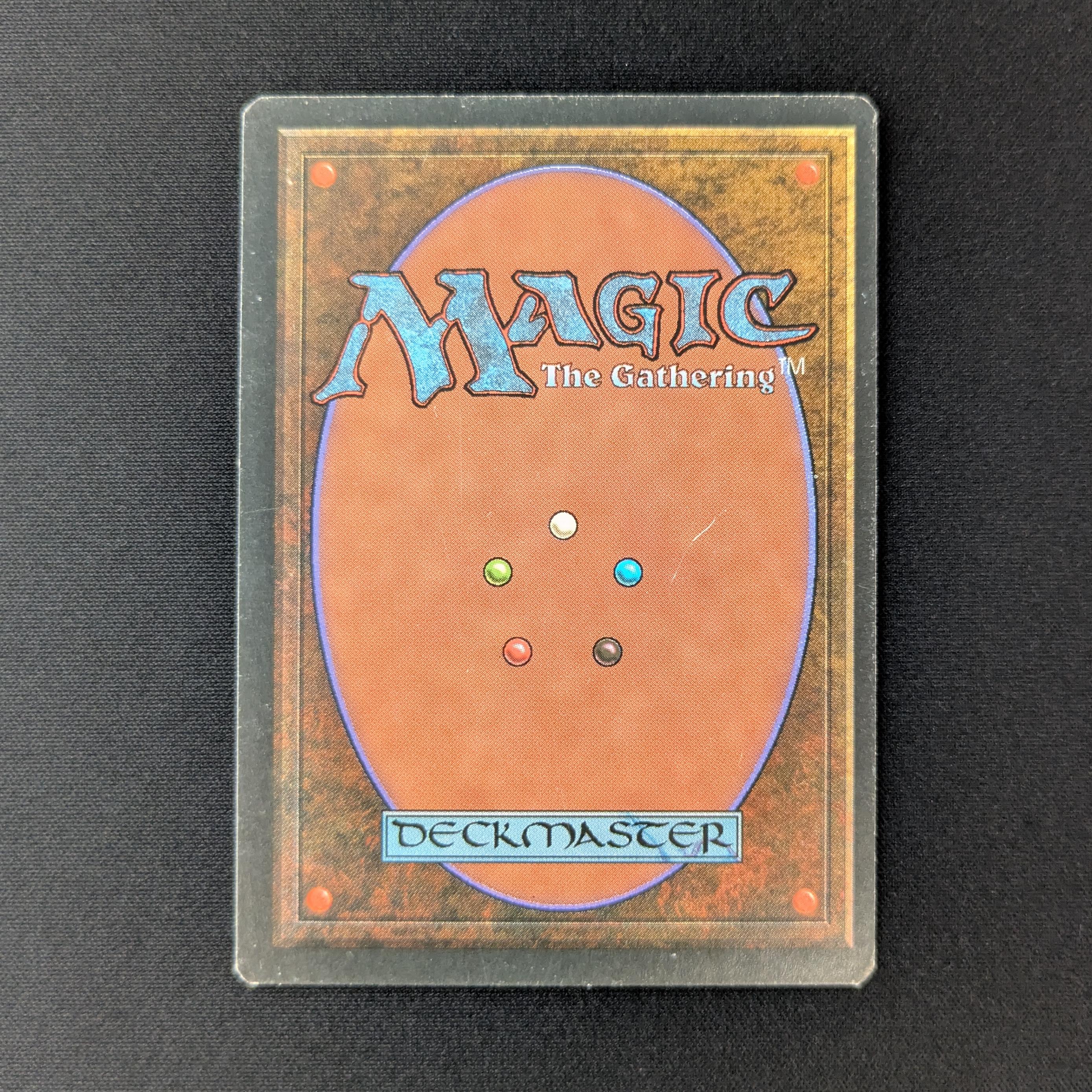 MTG Singles - Savannah - Foreign Black Bordered -