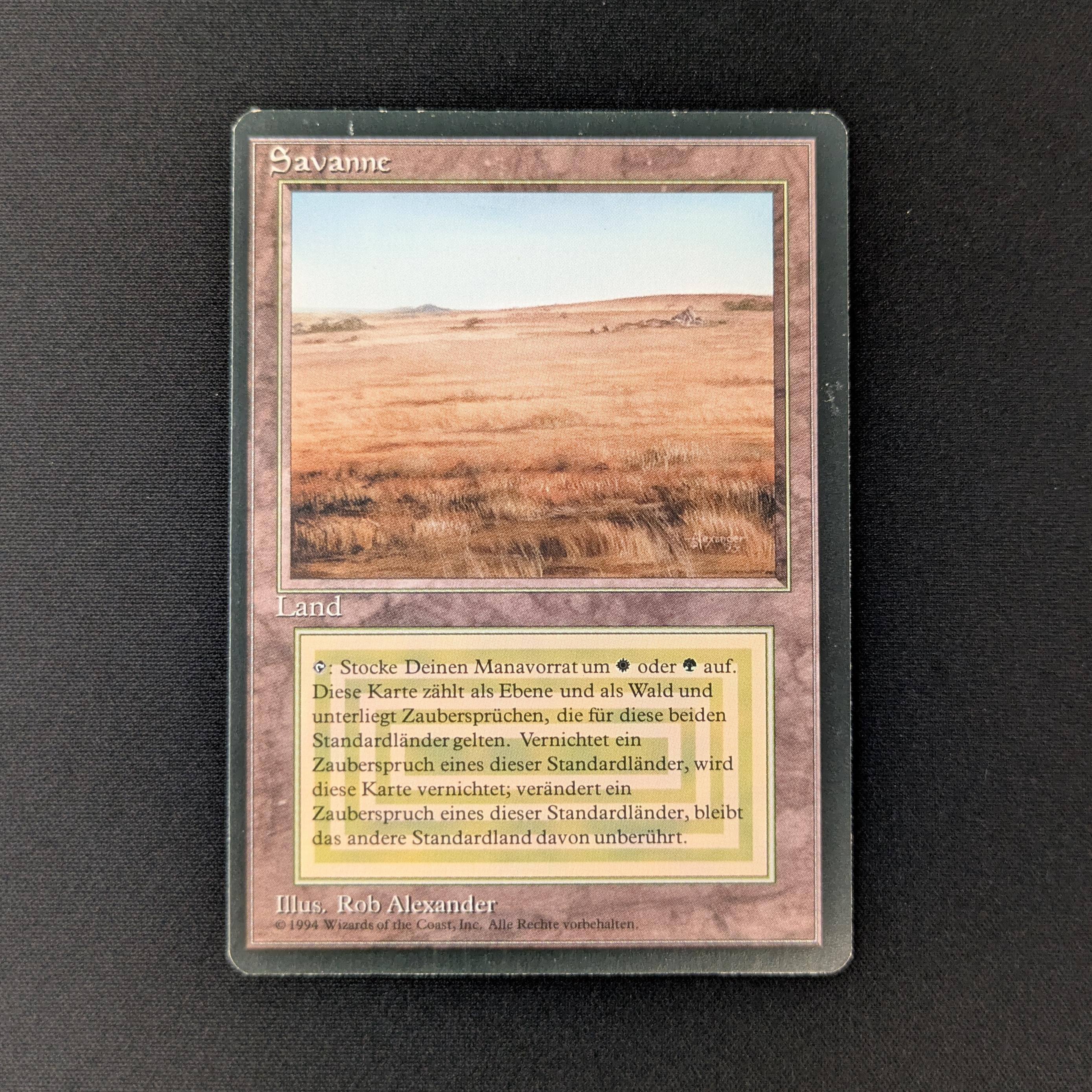 MTG Singles - Savannah - Foreign Black Bordered -