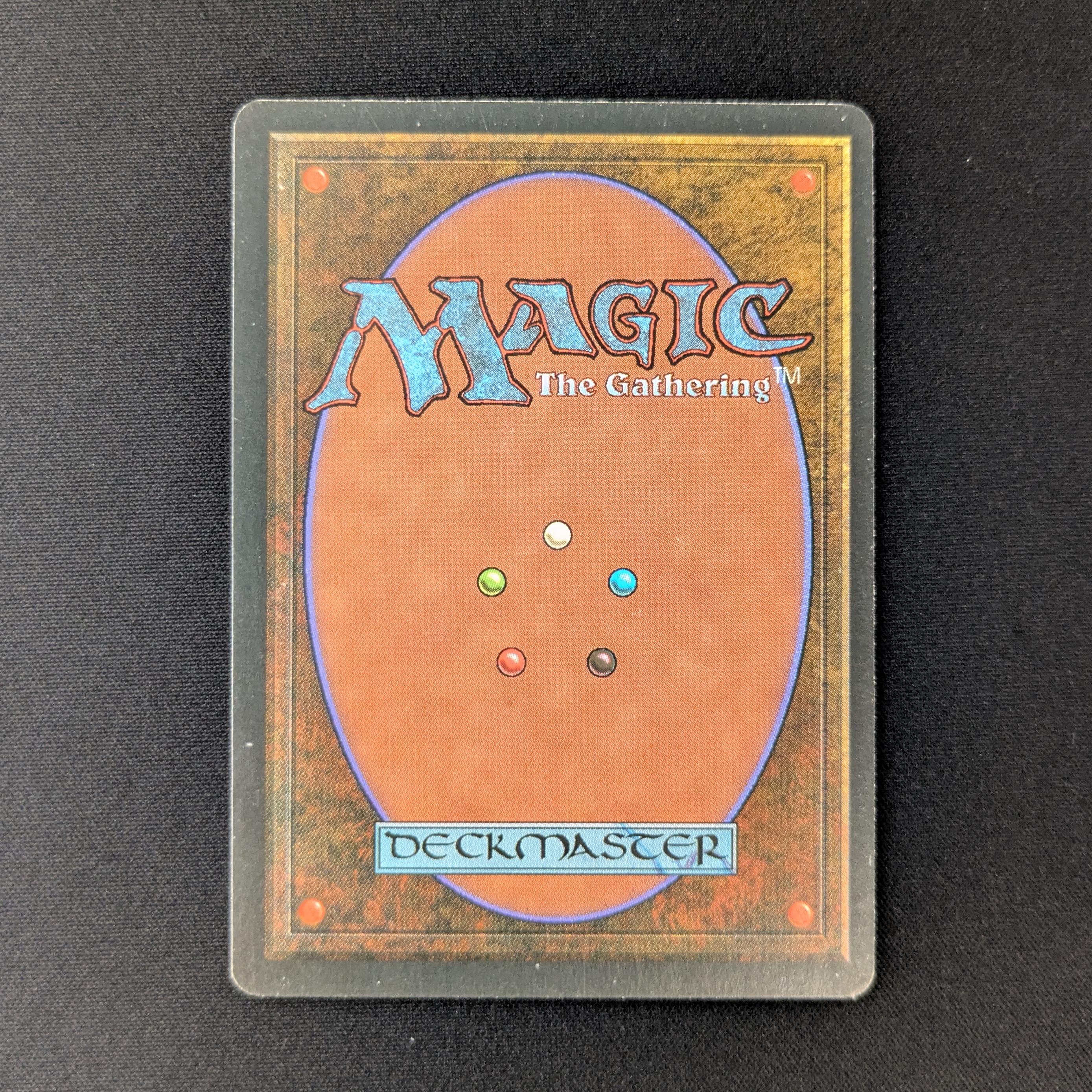 MTG Singles - Savannah - Foreign Black Bordered -