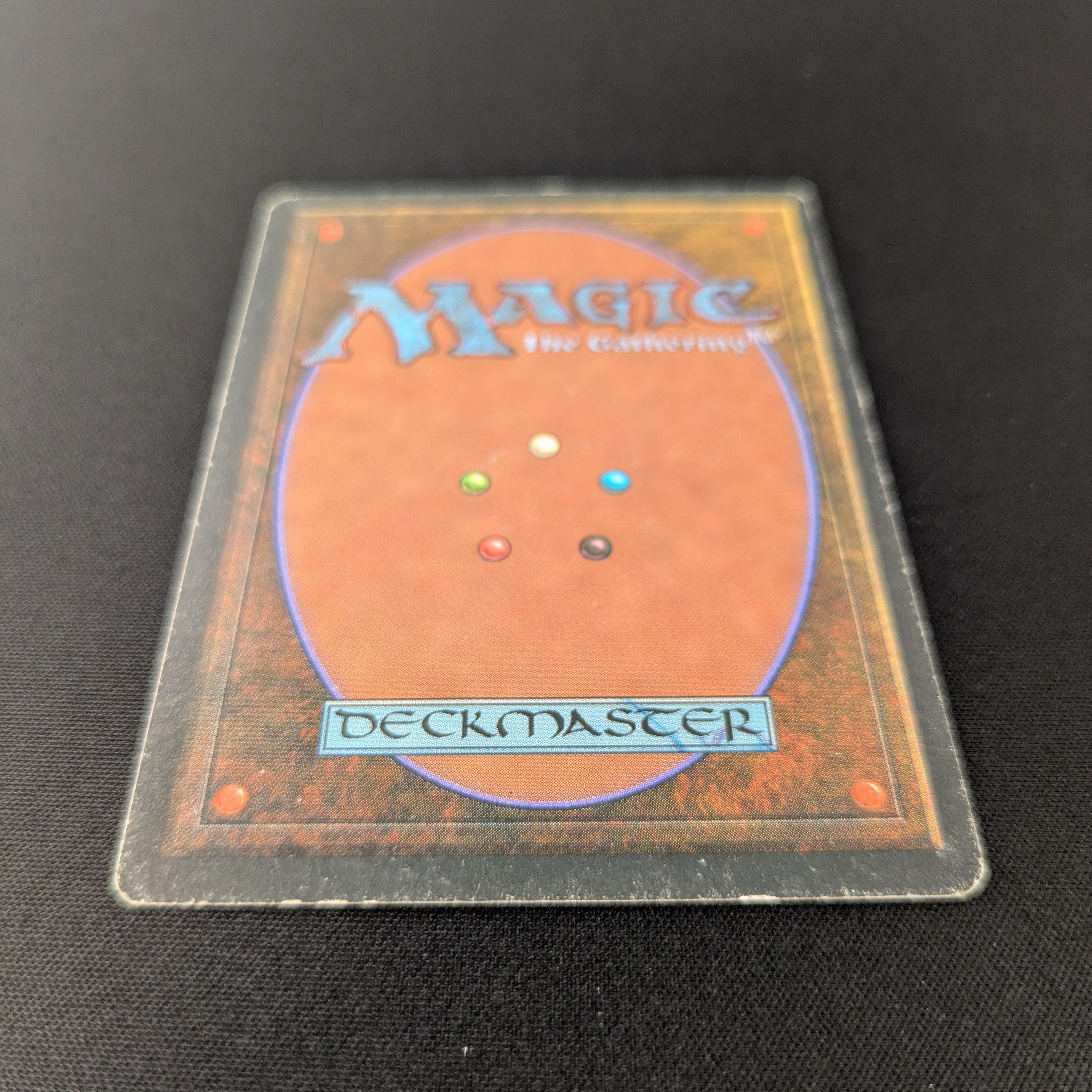 MTG Singles - Savannah - Foreign Black Bordered -