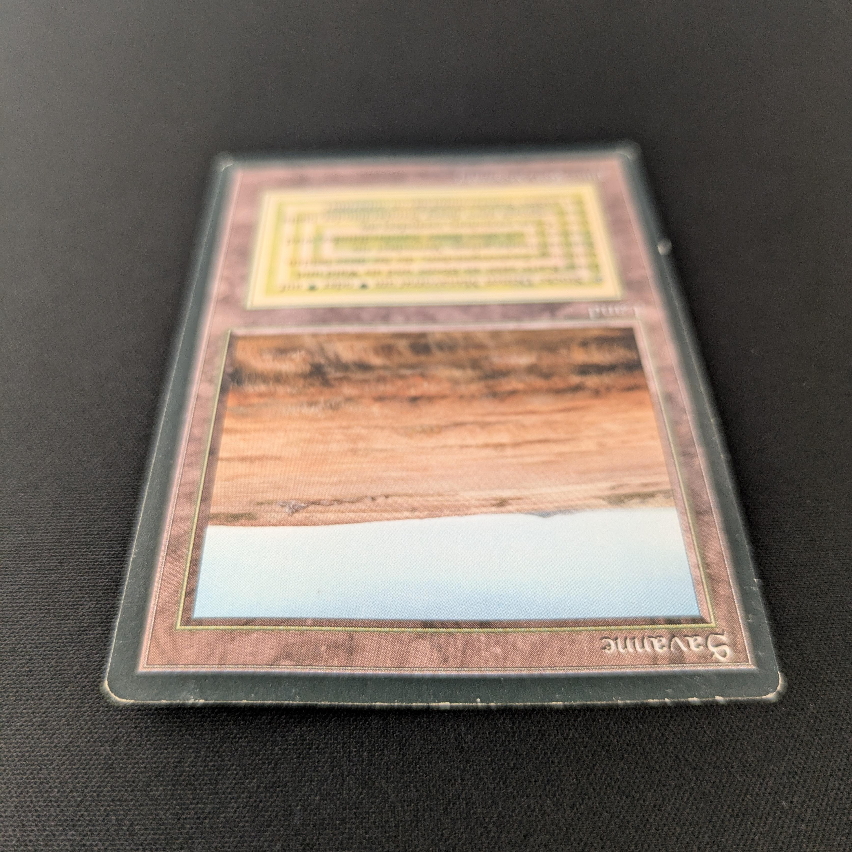 MTG Singles - Savannah - Foreign Black Bordered -