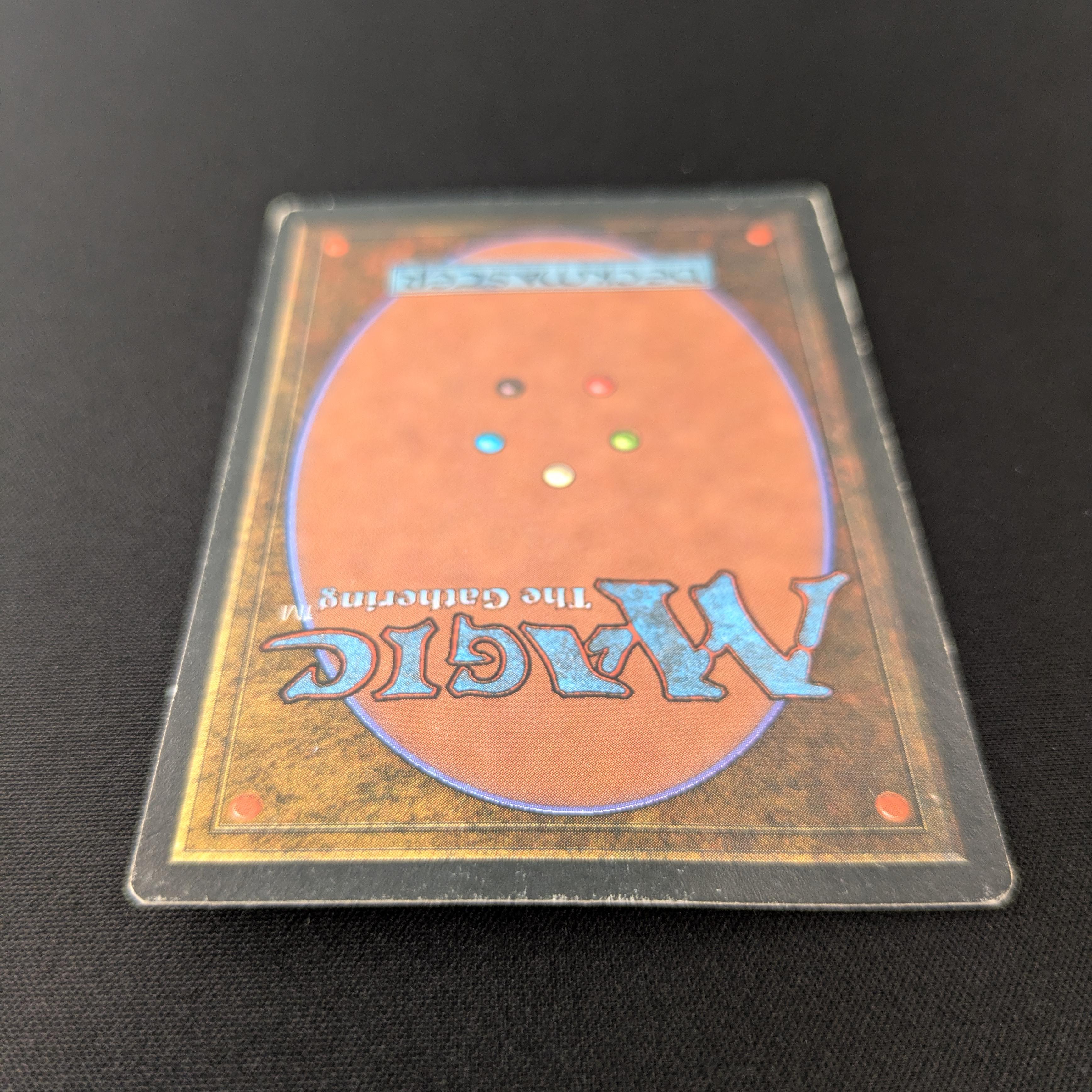 MTG Singles - Savannah - Foreign Black Bordered -