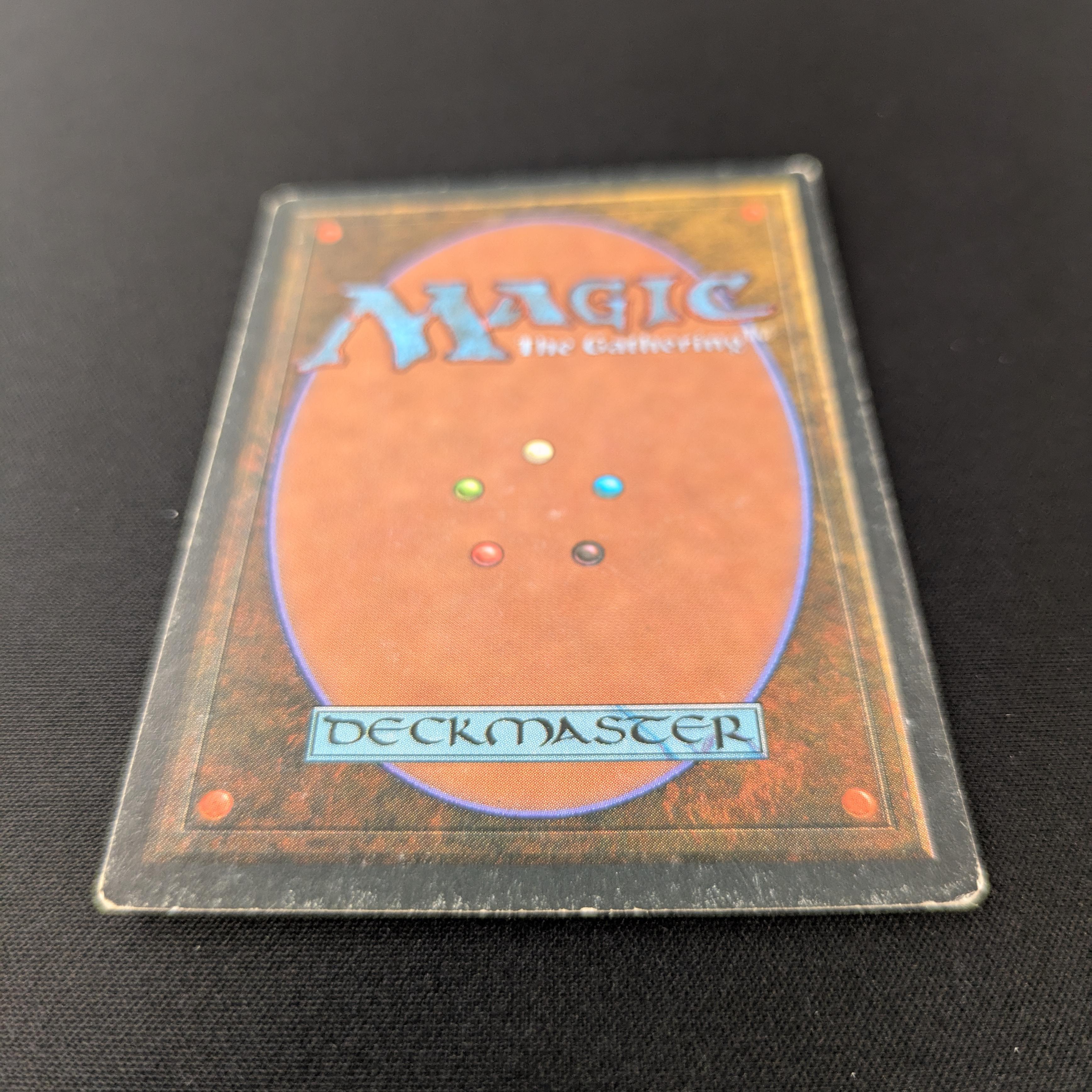 MTG Singles - Savannah - Foreign Black Bordered -