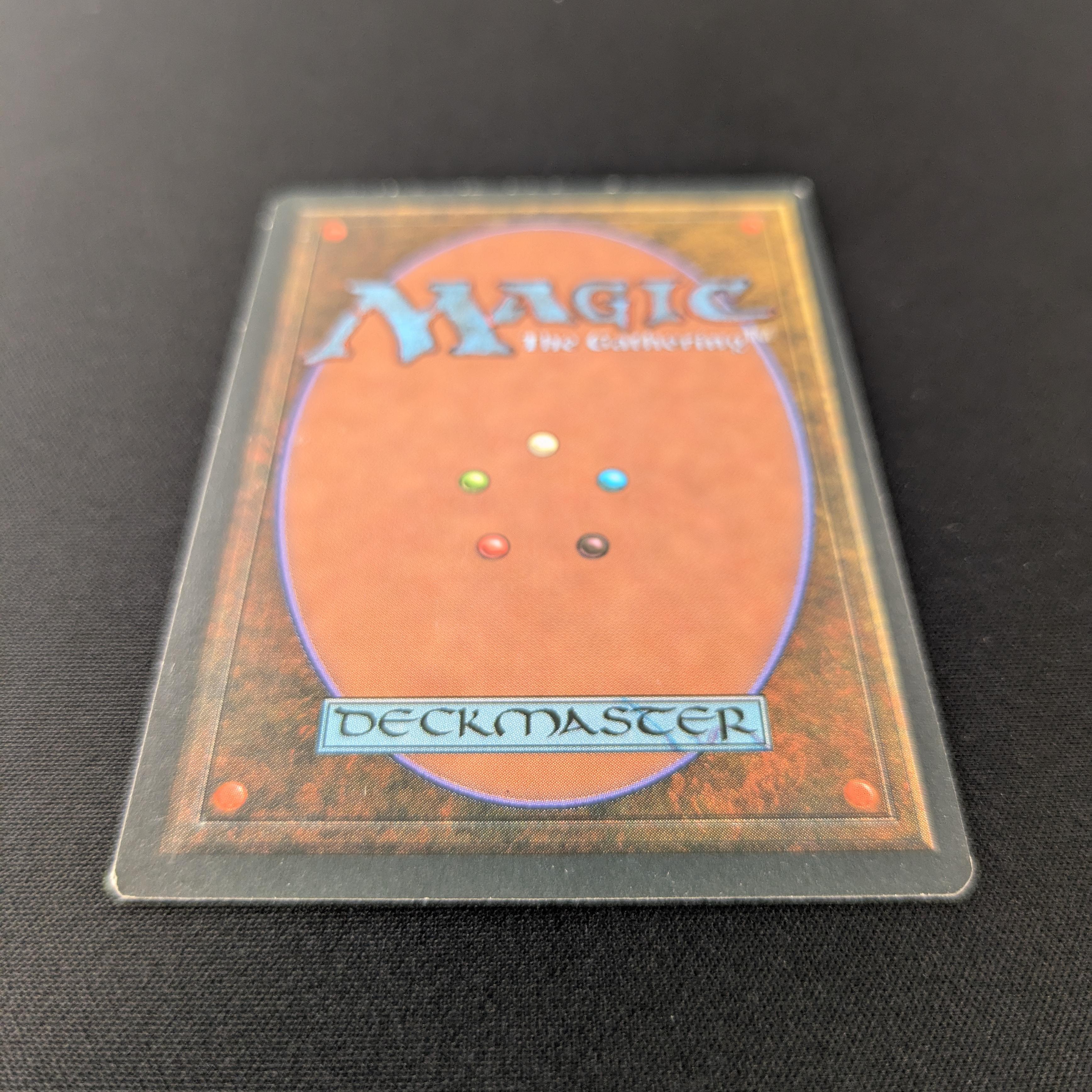 MTG Singles - Taiga - Foreign Black Bordered -