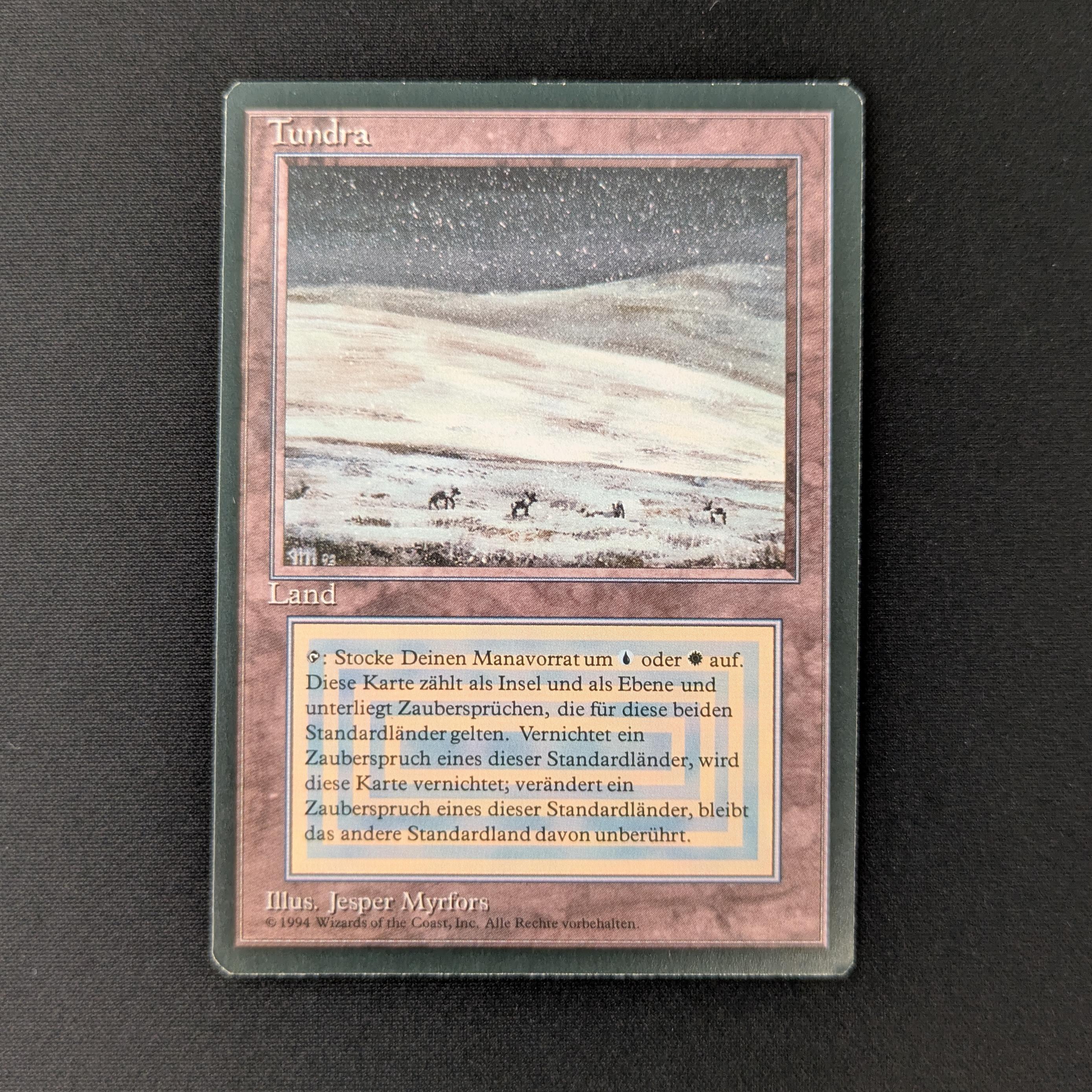 MTG Singles - Tundra - Foreign Black Bordered - German - NM - 27723