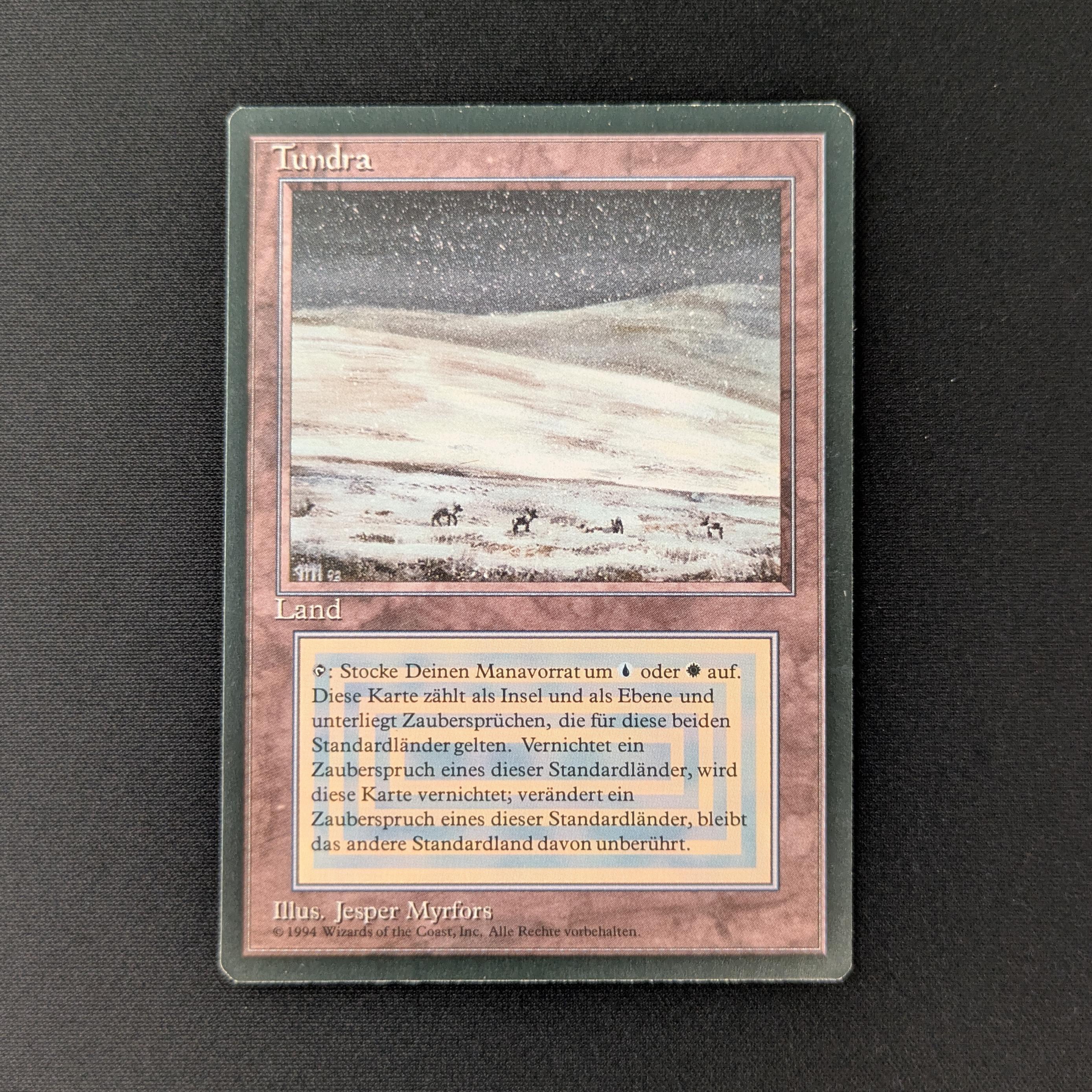 MTG Singles - Tundra - Foreign Black Bordered - German - NM - 27725