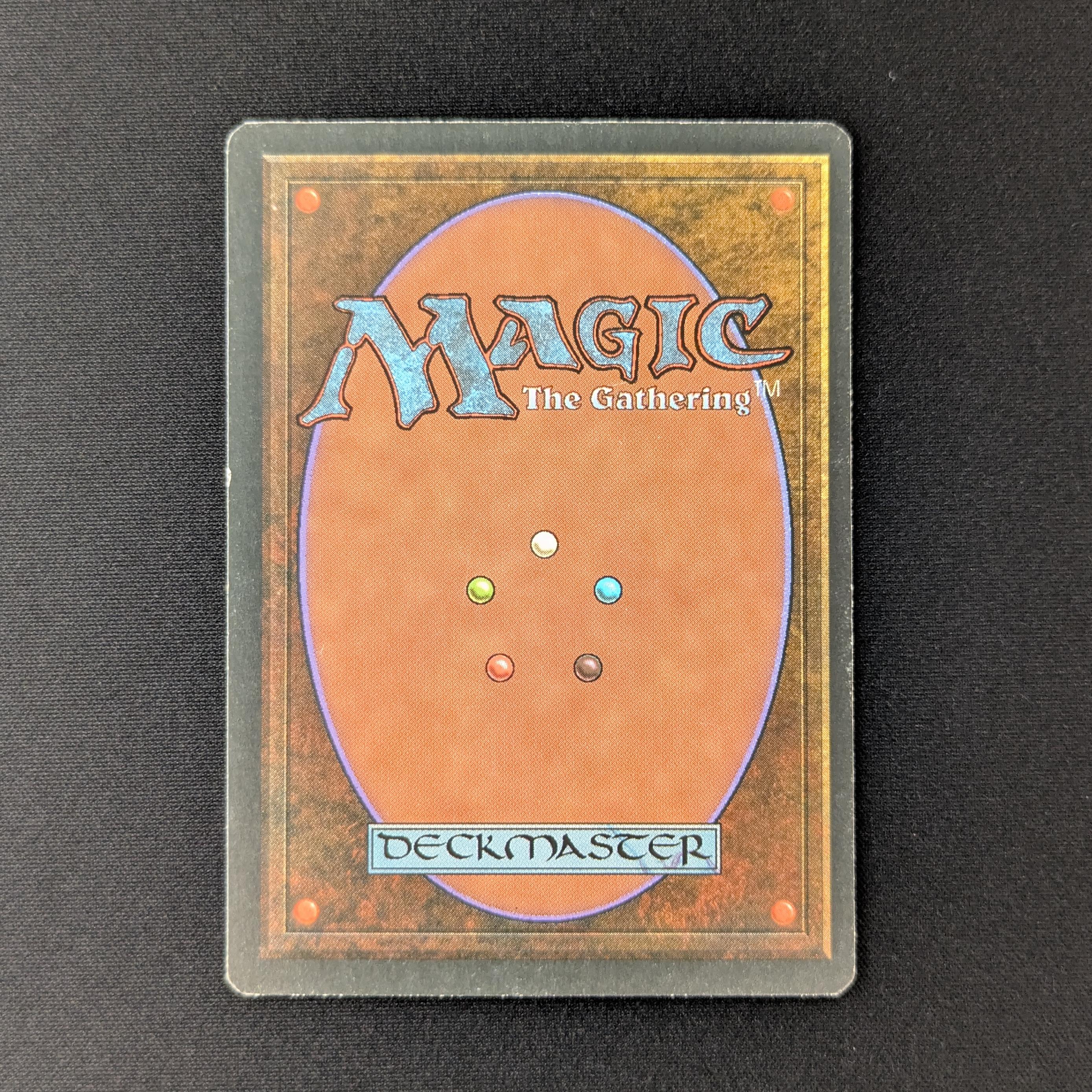 MTG Singles - Taiga - Foreign White Bordered -