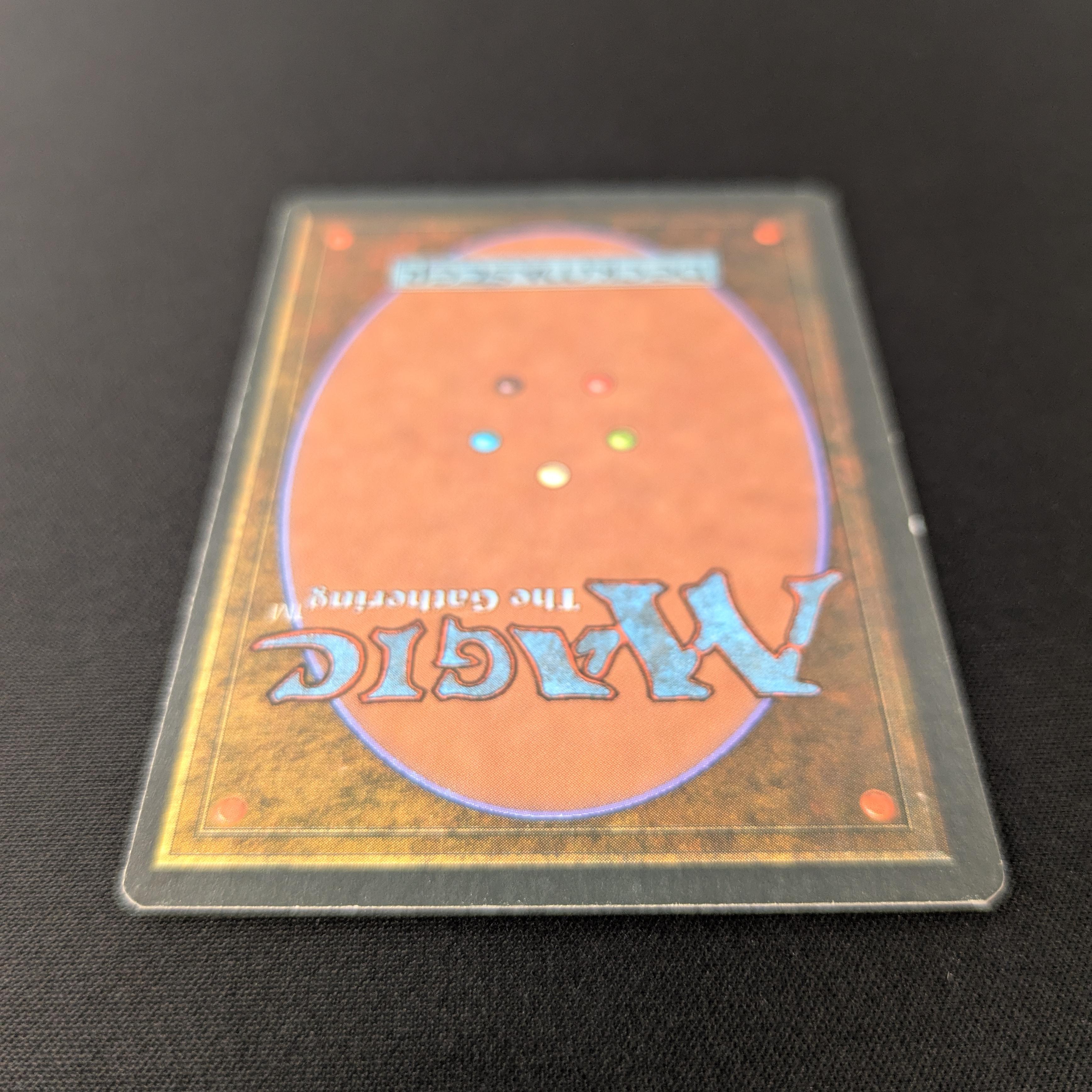 MTG Singles - Taiga - Foreign White Bordered -