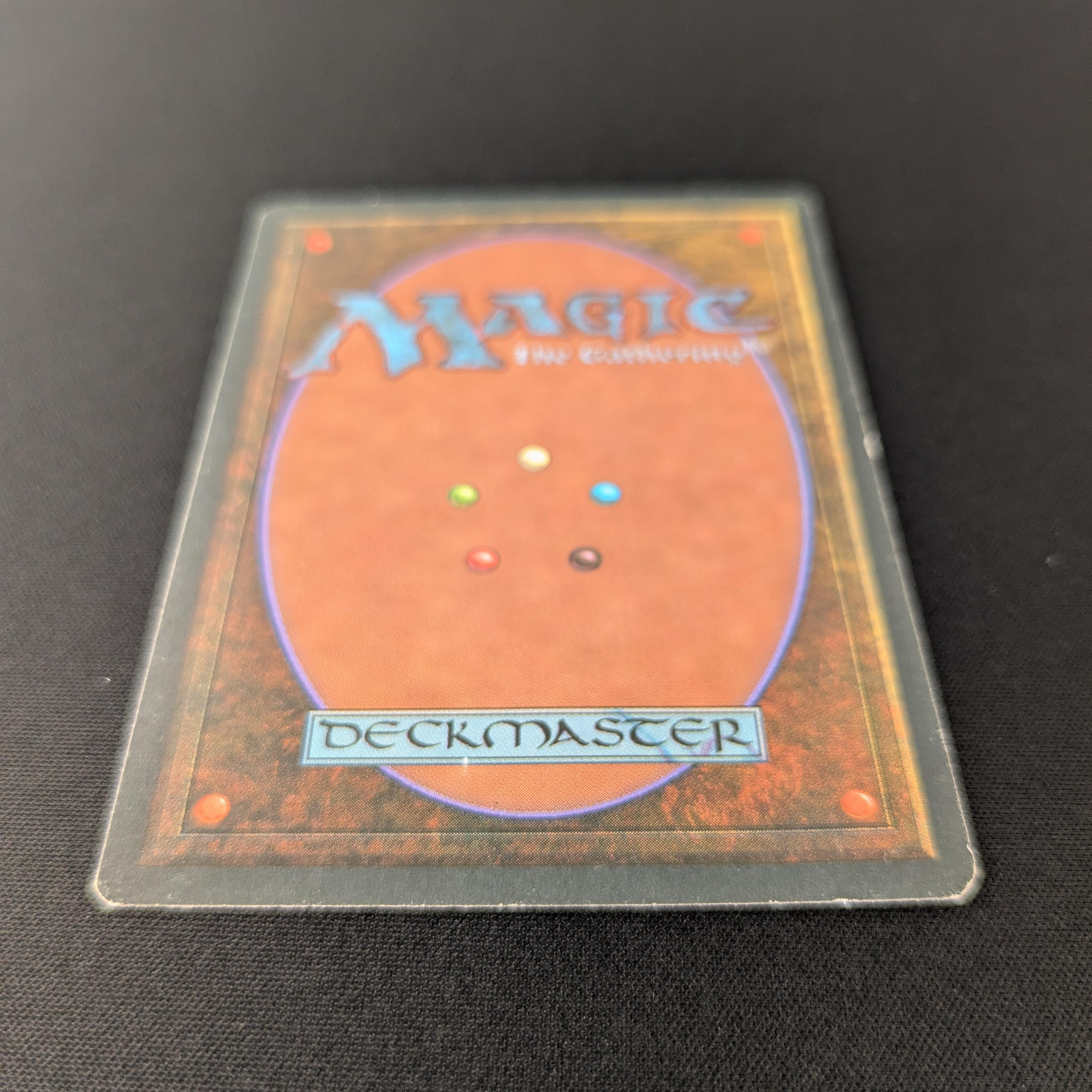 MTG Singles - Tundra - Foreign White Bordered -