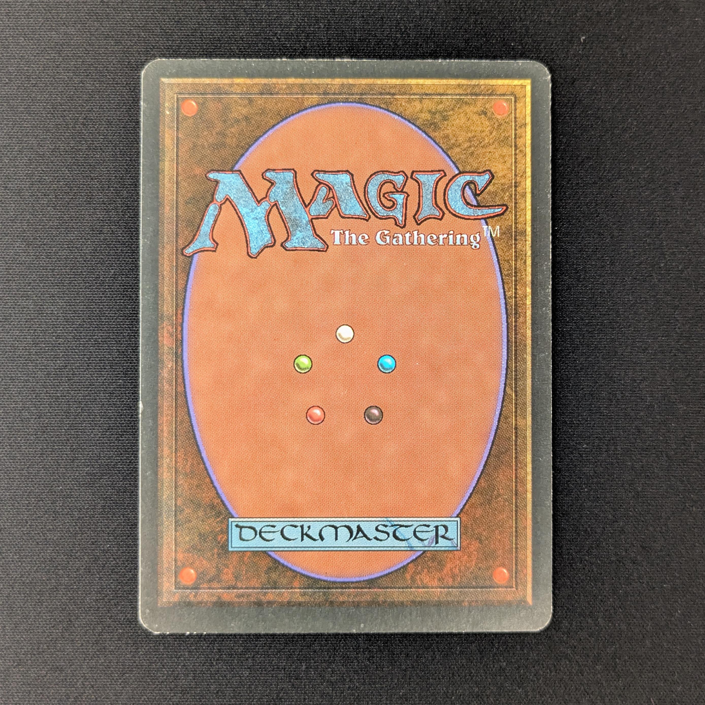 MTG Singles - Savannah - Foreign White Bordered -