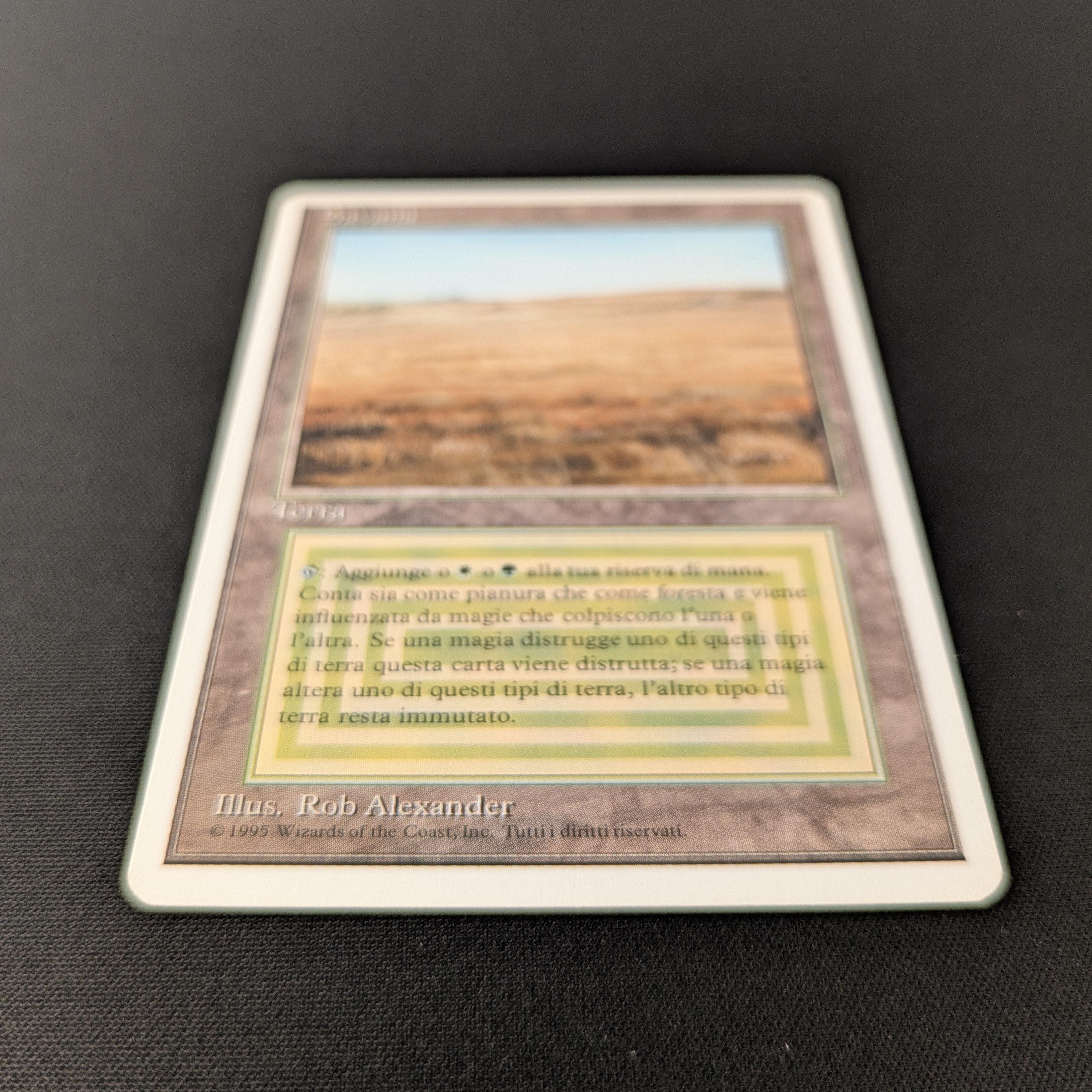 MTG Singles - Savannah - Foreign White Bordered -