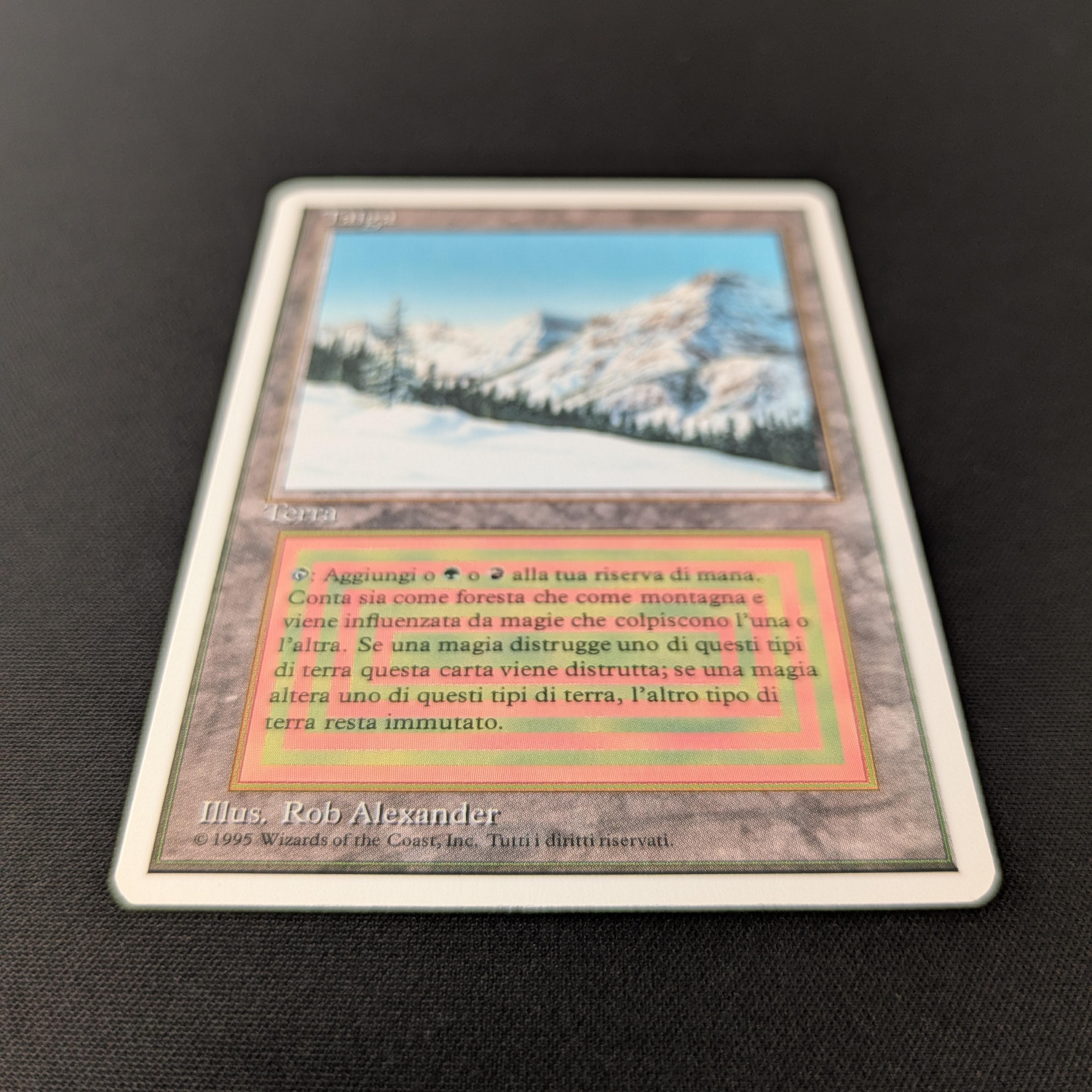 MTG Singles - Taiga - Foreign White Bordered -