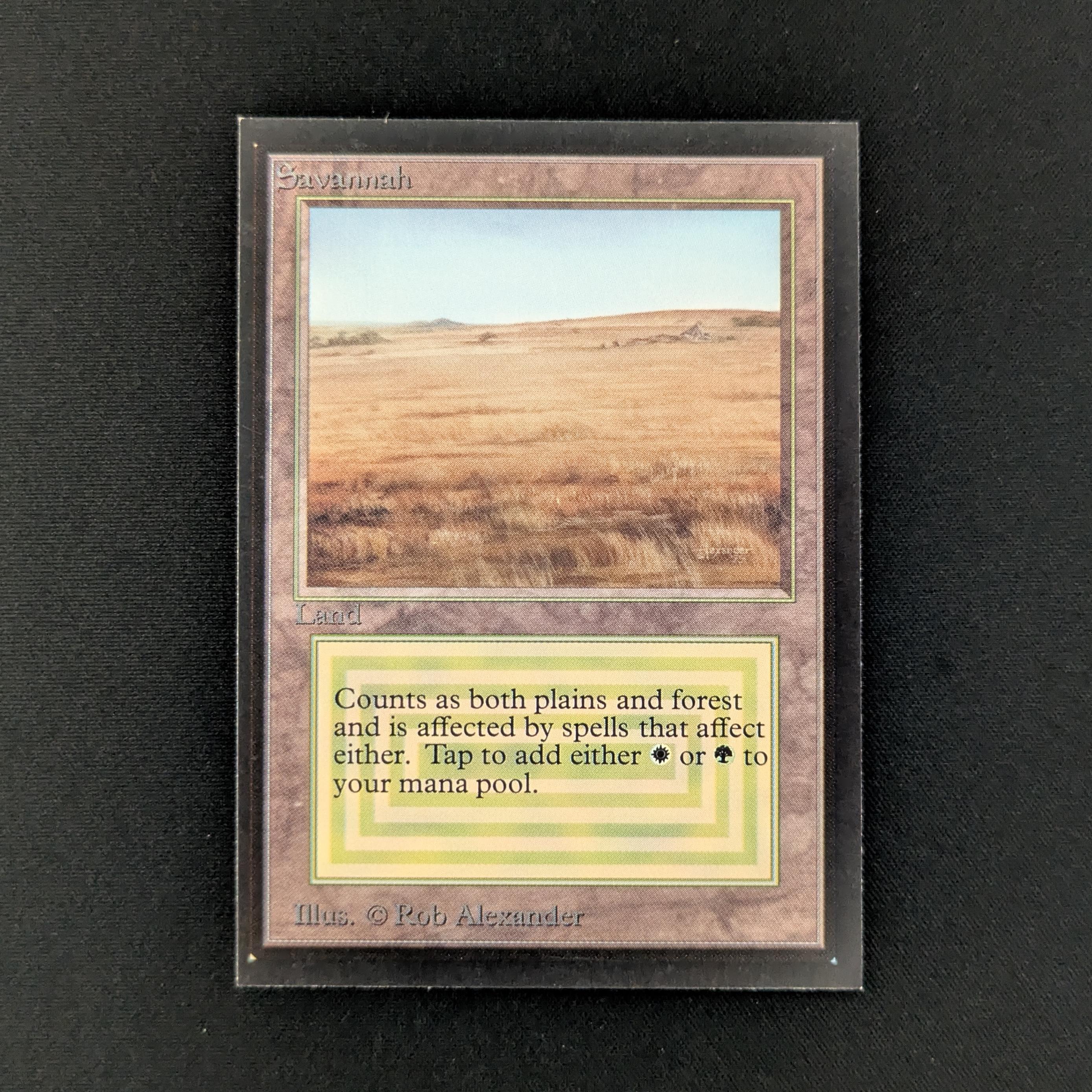 MTG Singles - Savannah - Collectors' Edition - EX - 28012