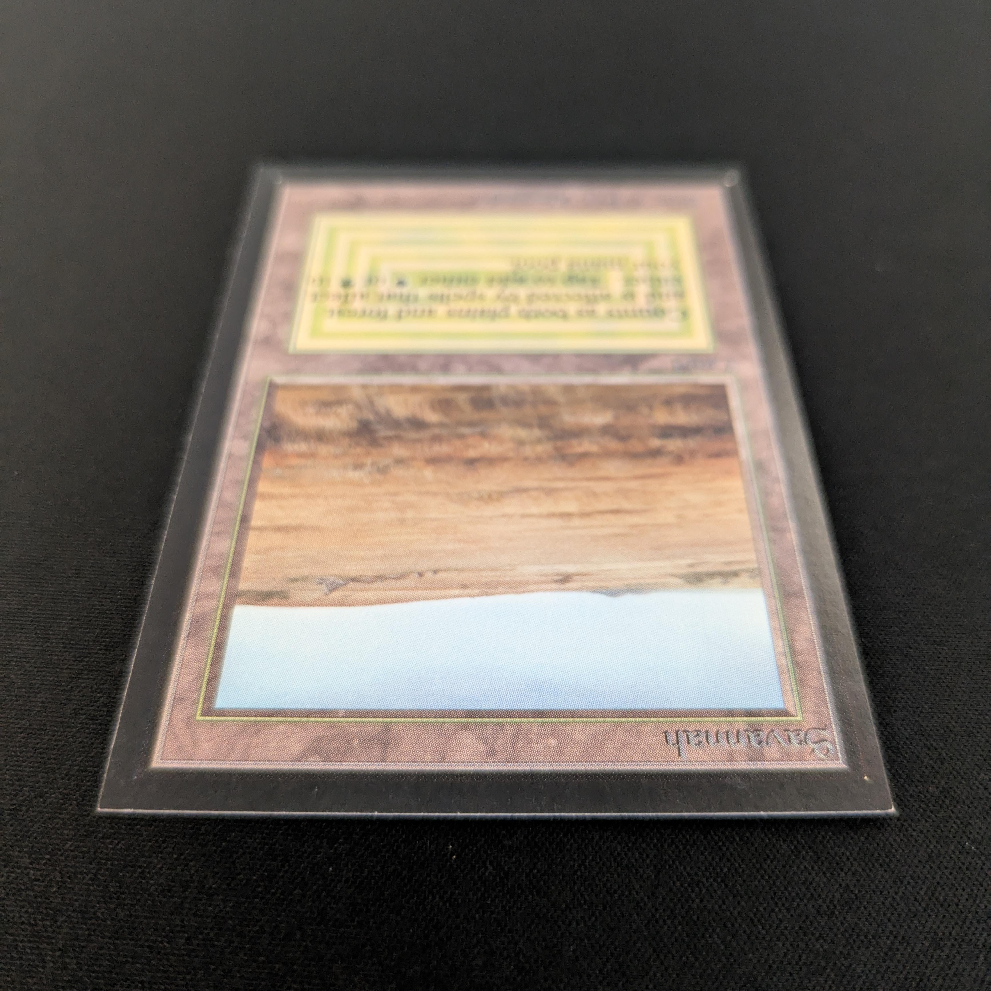 MTG Singles - Savannah - Collectors' Edition -