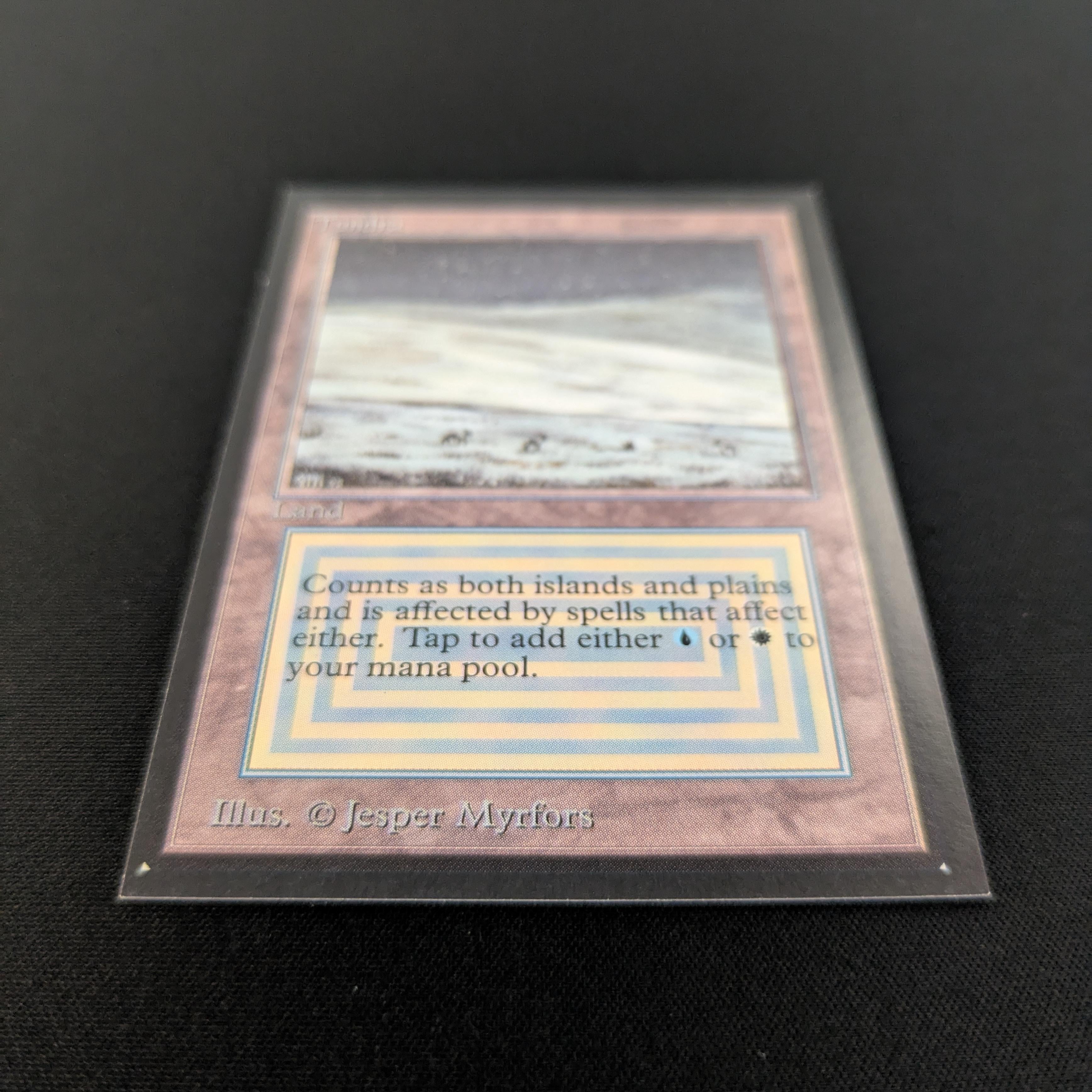 MTG Singles - Tundra - Collectors' Edition -