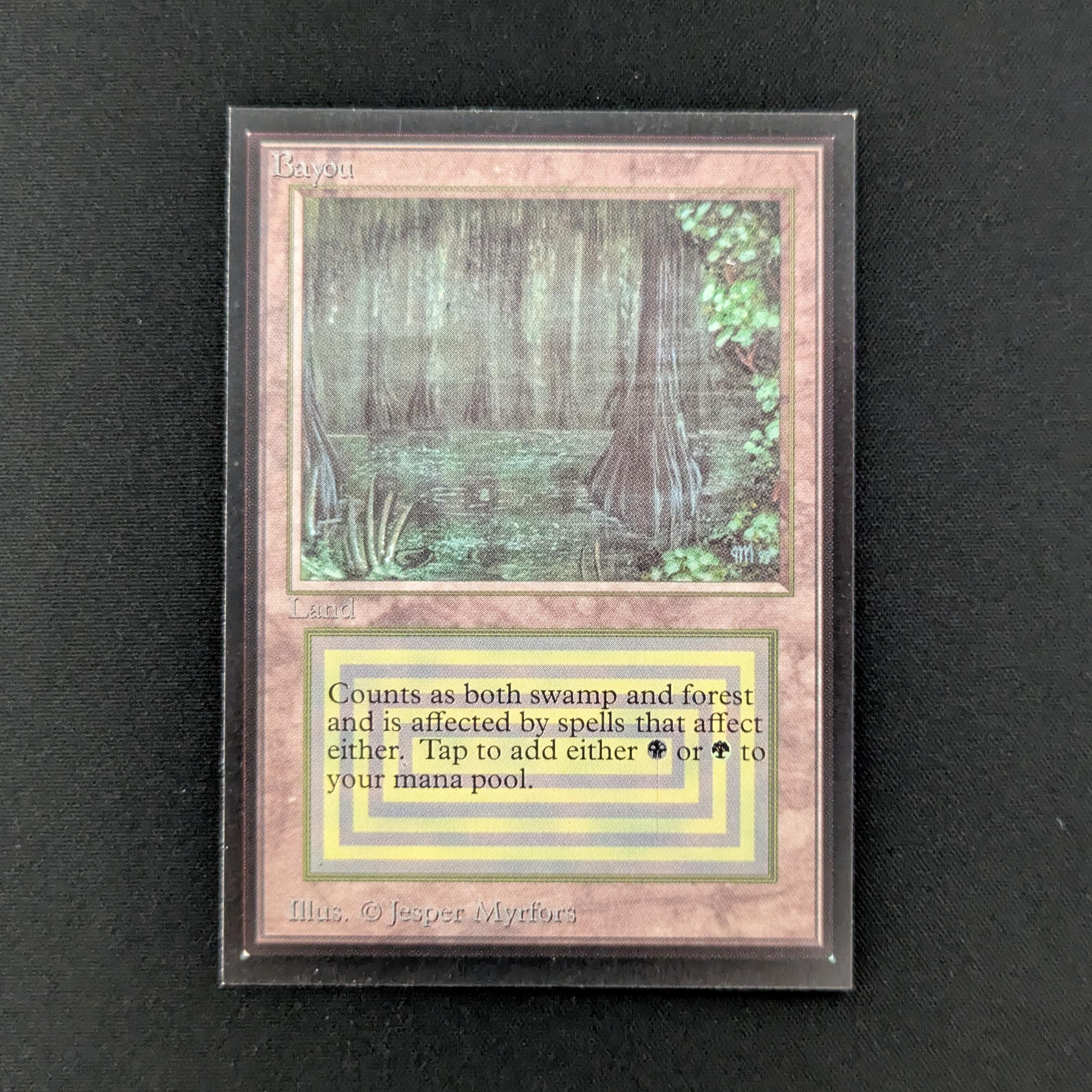 MTG Singles - Bayou - International Edition - NM - 28032