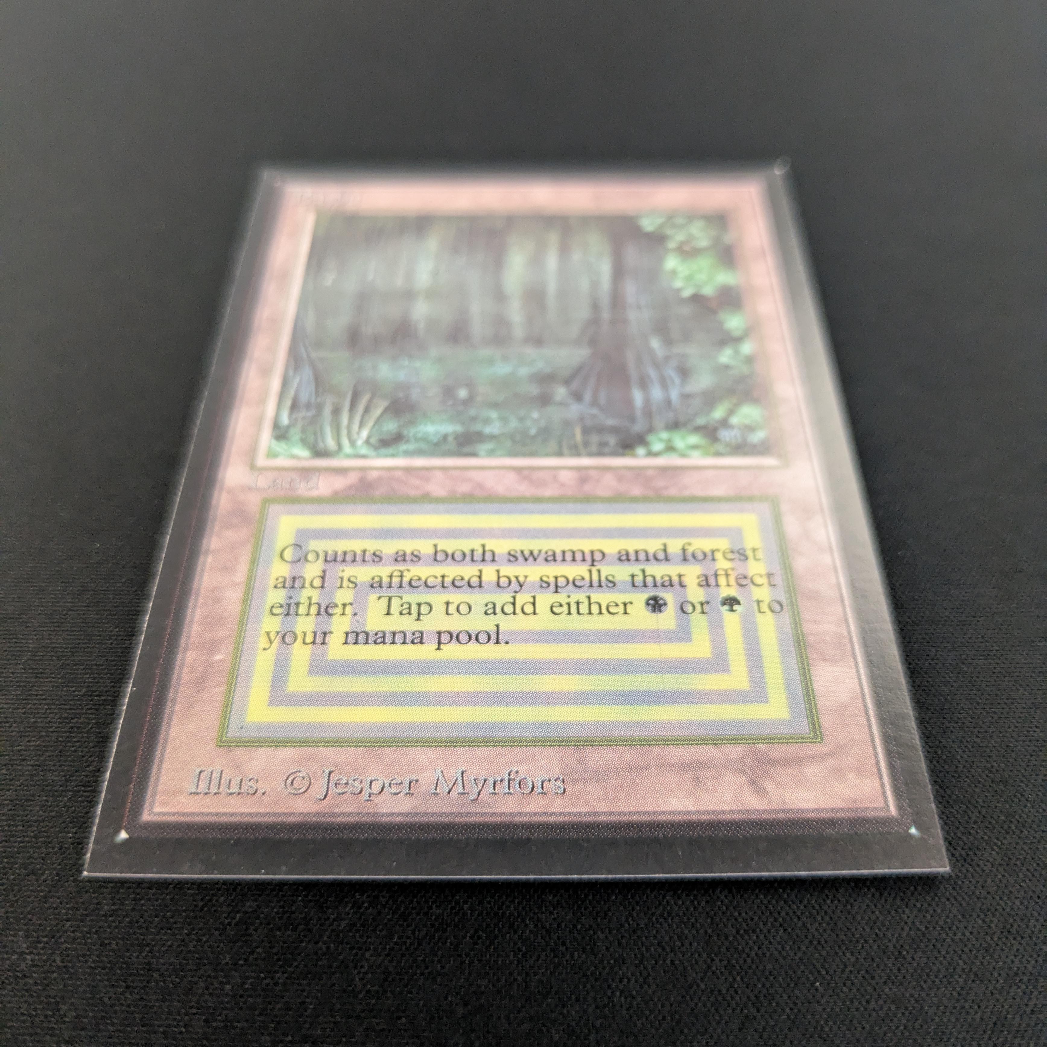 MTG Singles - Bayou - International Edition -