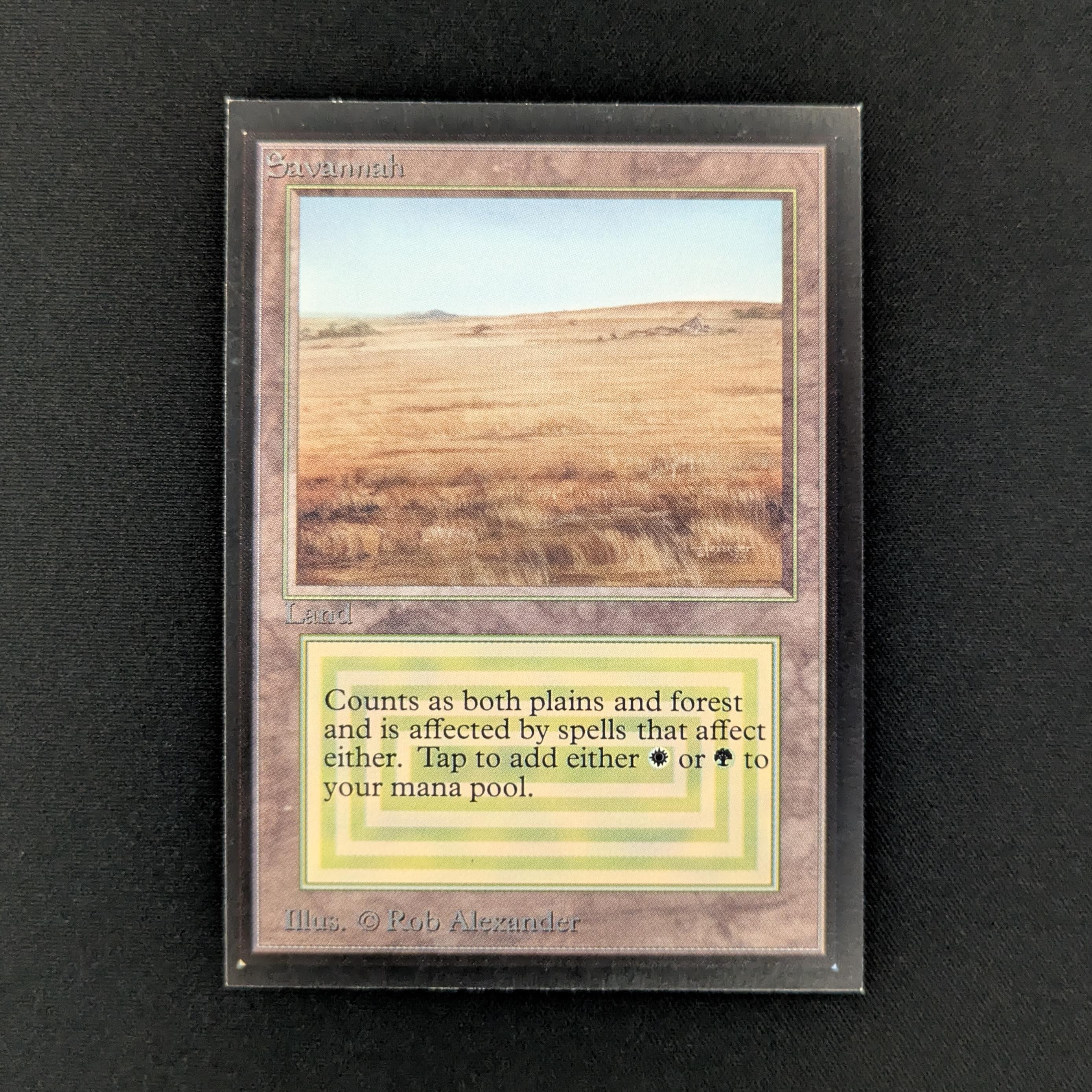 MTG Singles - Savannah - International Edition - NM - 28034