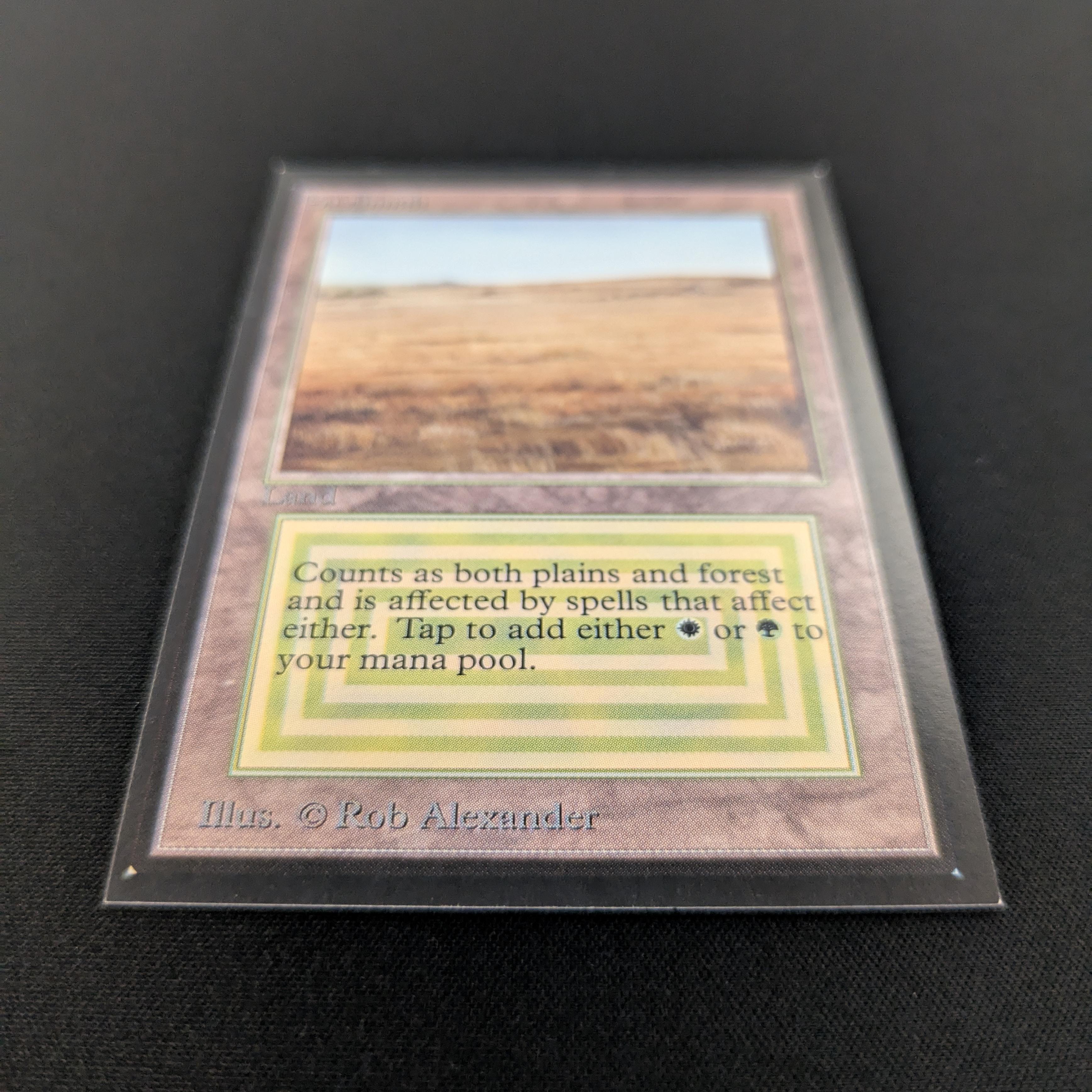 MTG Singles - Savannah - International Edition -