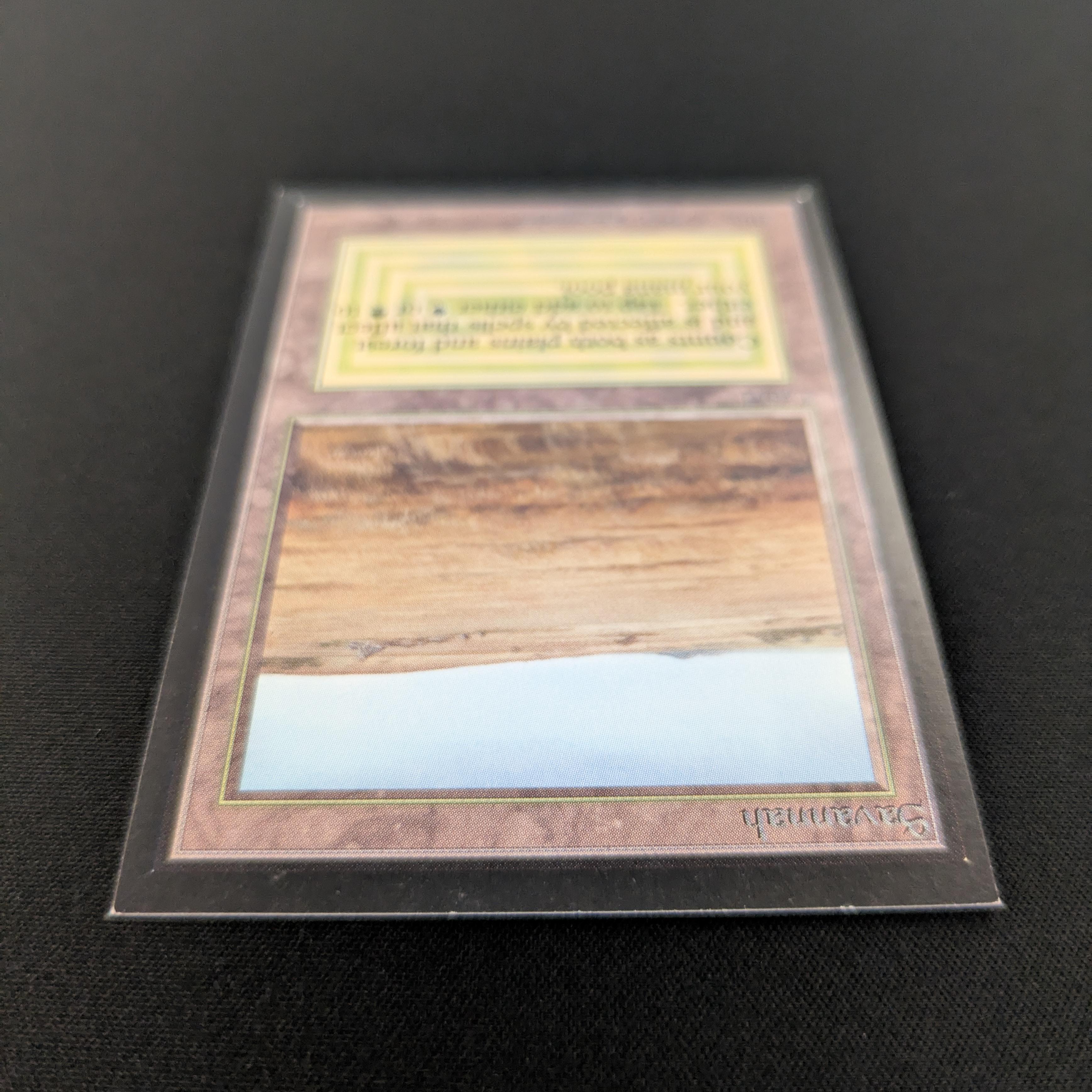 MTG Singles - Savannah - International Edition -