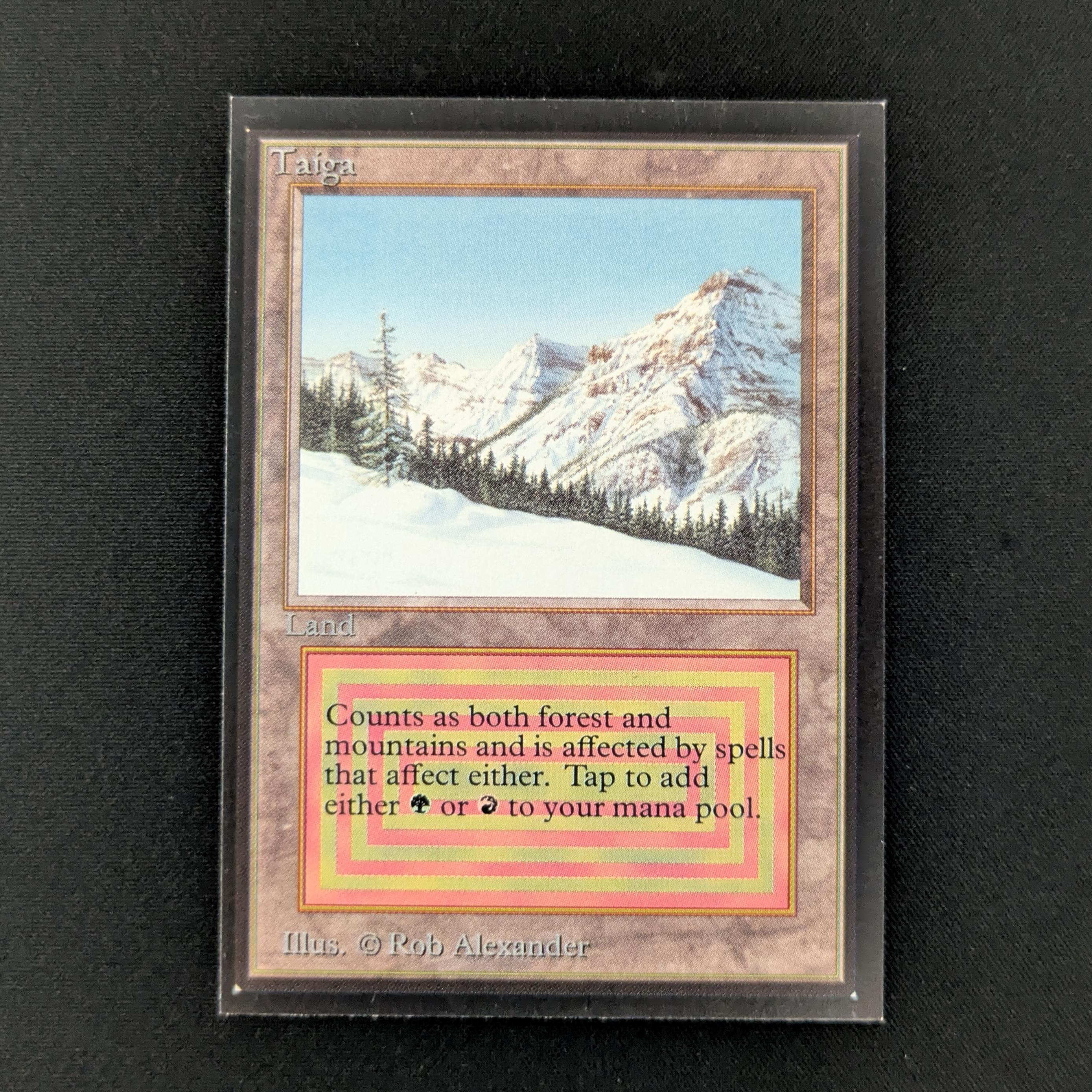 MTG Singles - Taiga - International Edition - NM - 28036