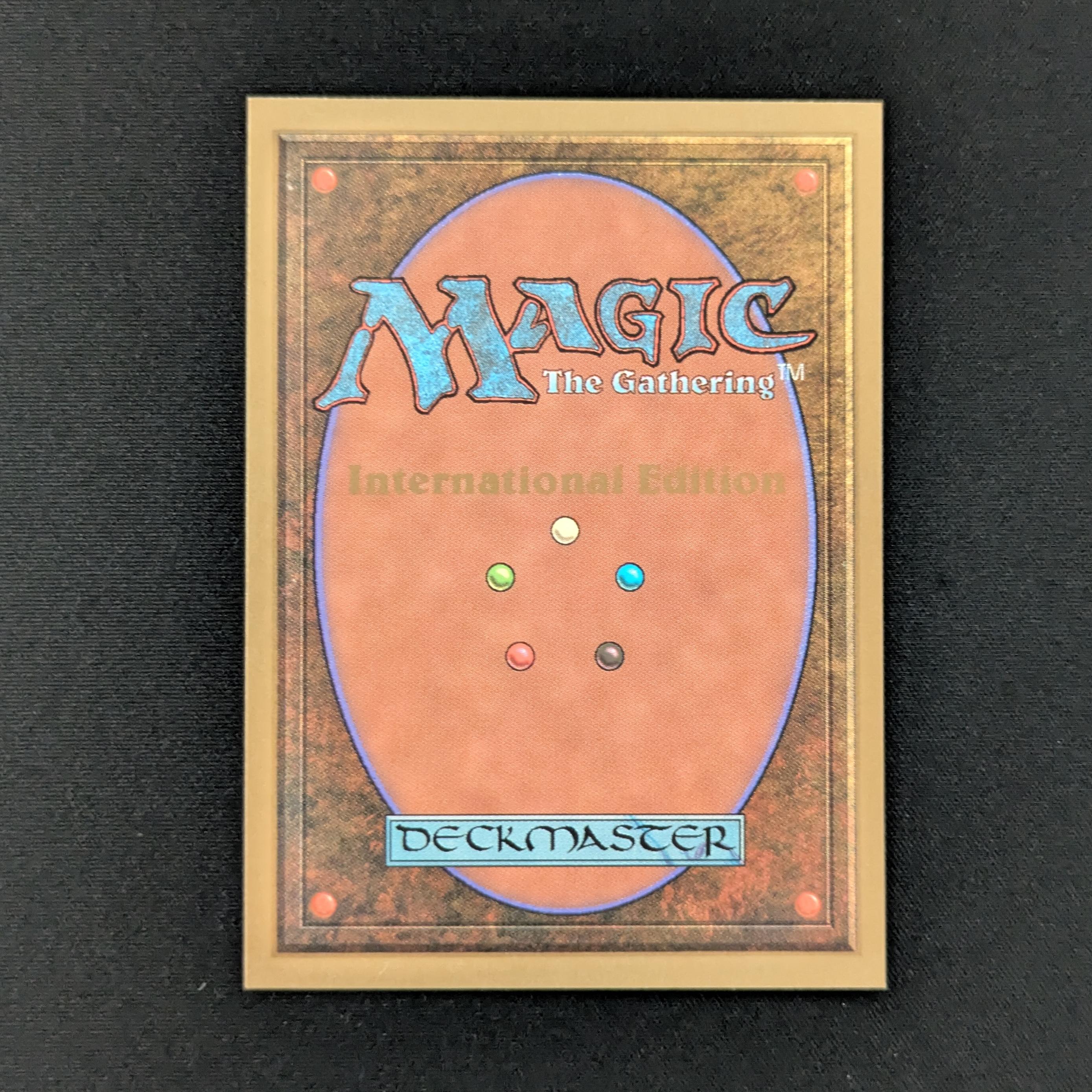 MTG Singles - Taiga - International Edition -