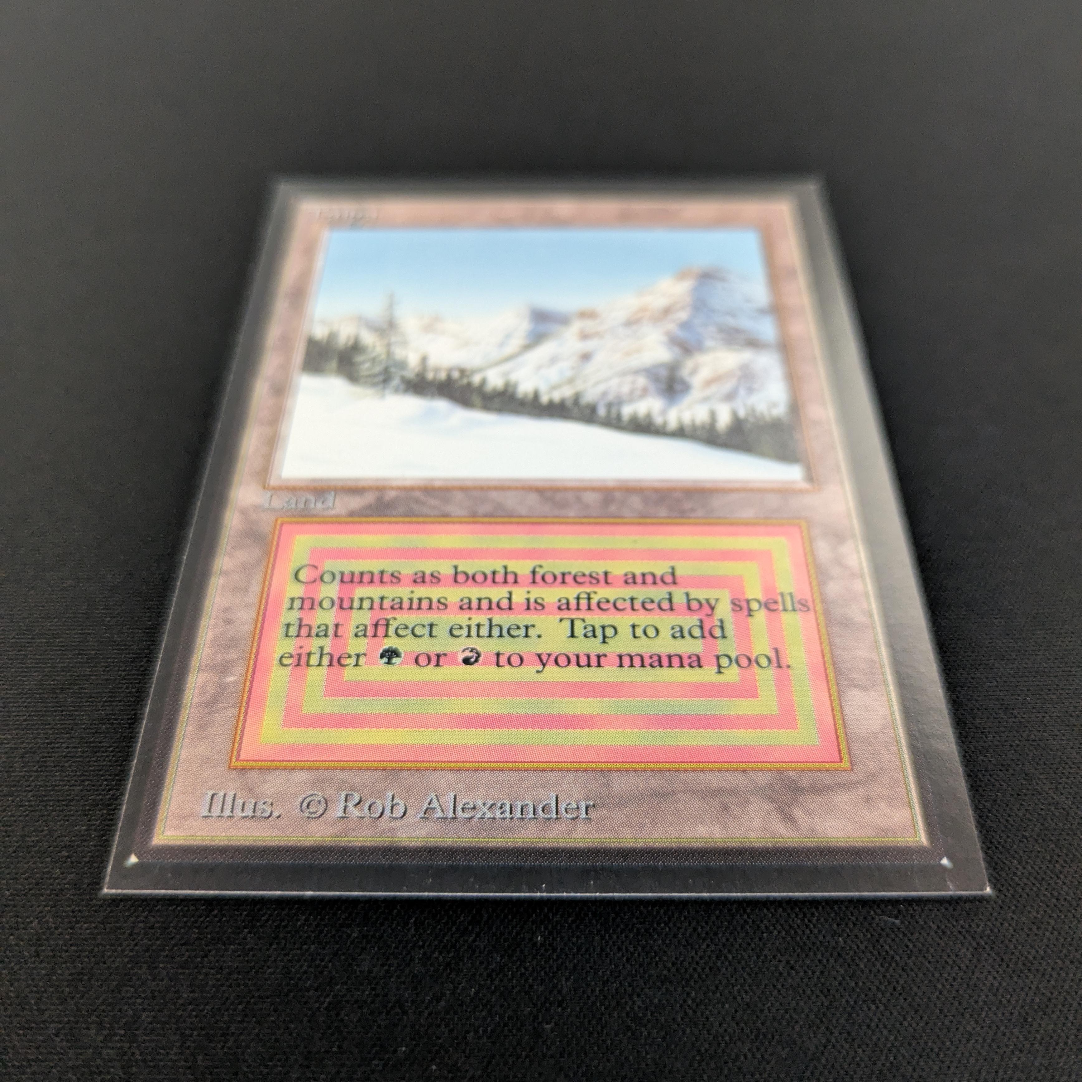 MTG Singles - Taiga - International Edition -