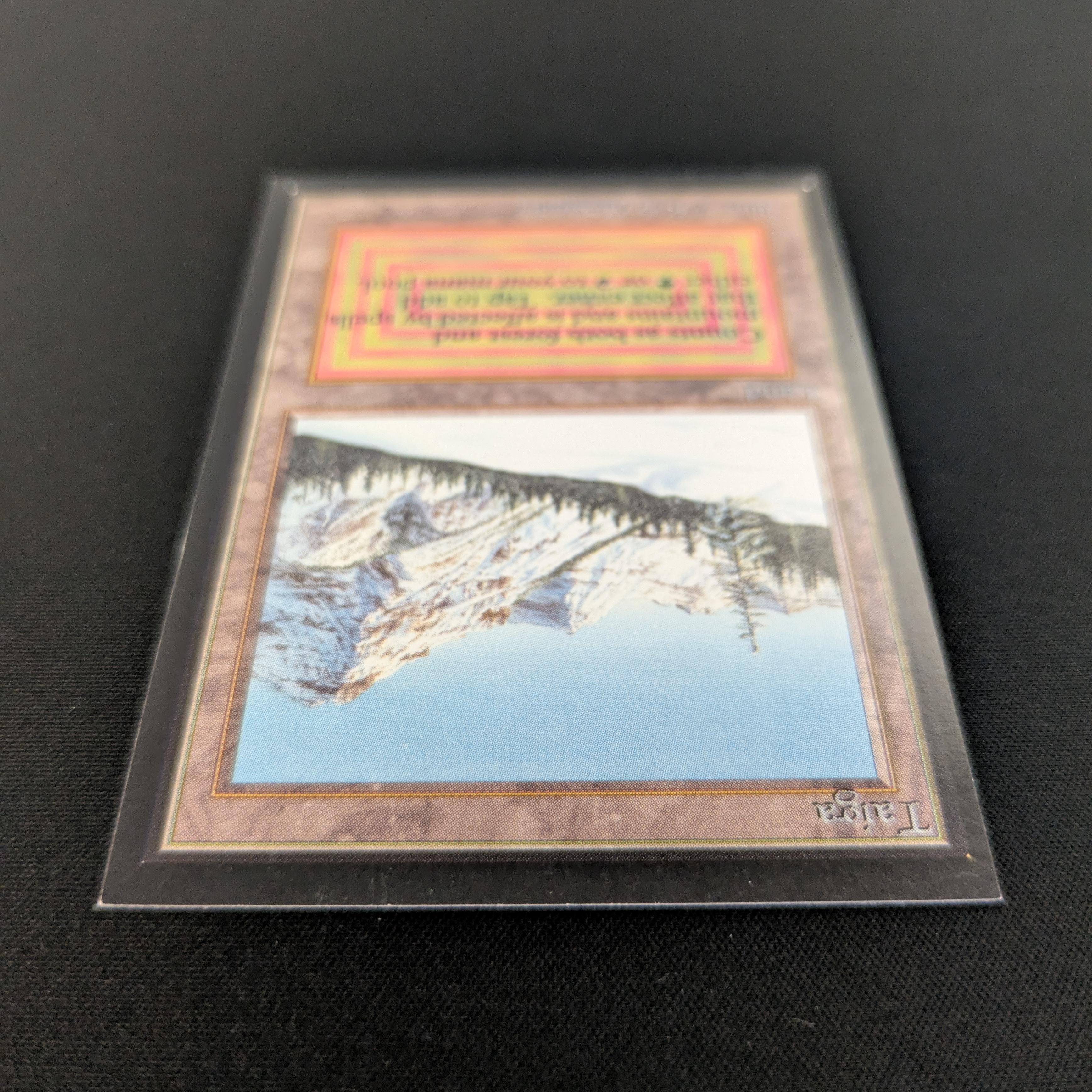 MTG Singles - Taiga - International Edition -